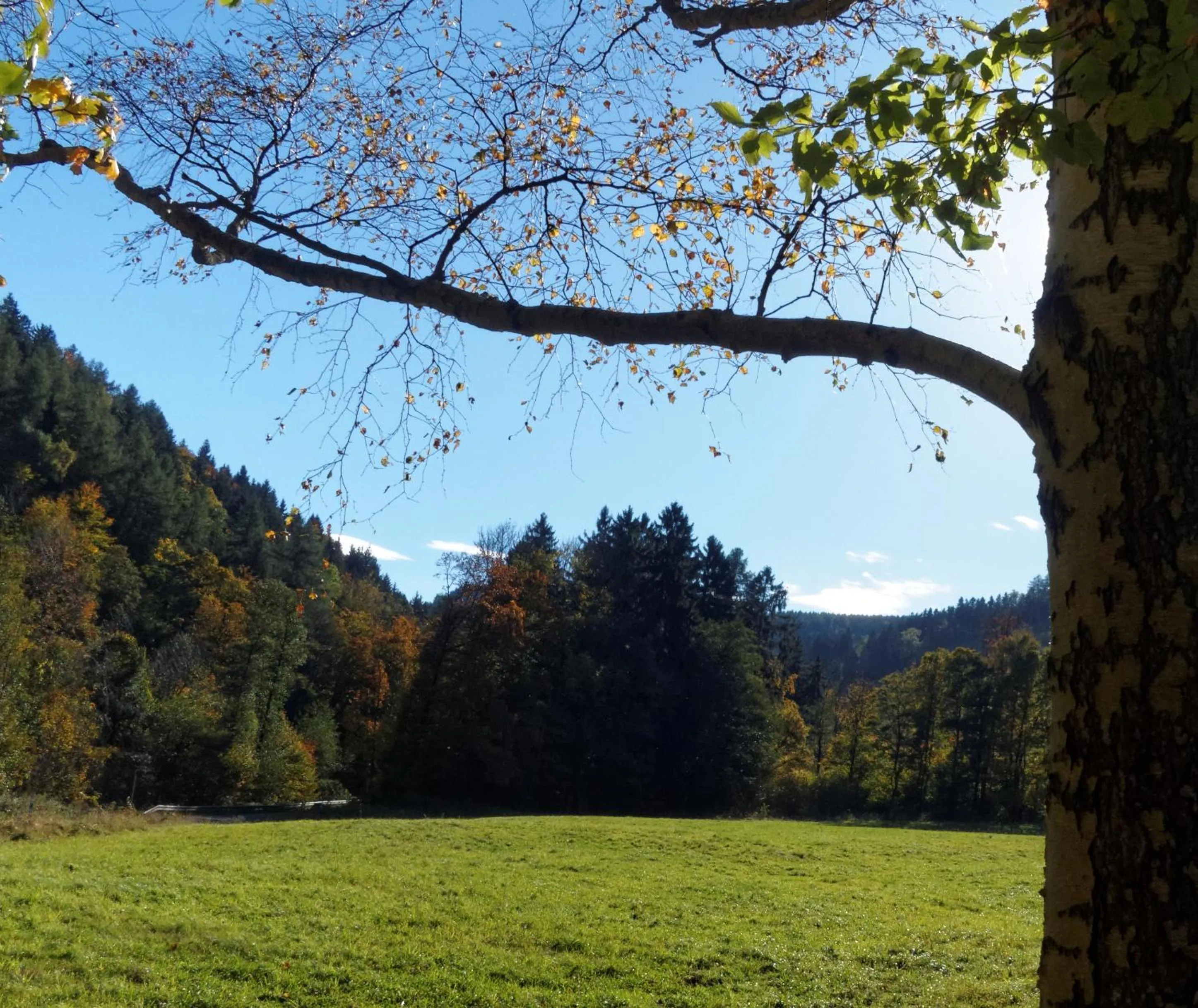 Natural landscape in Pension Raststüb'l