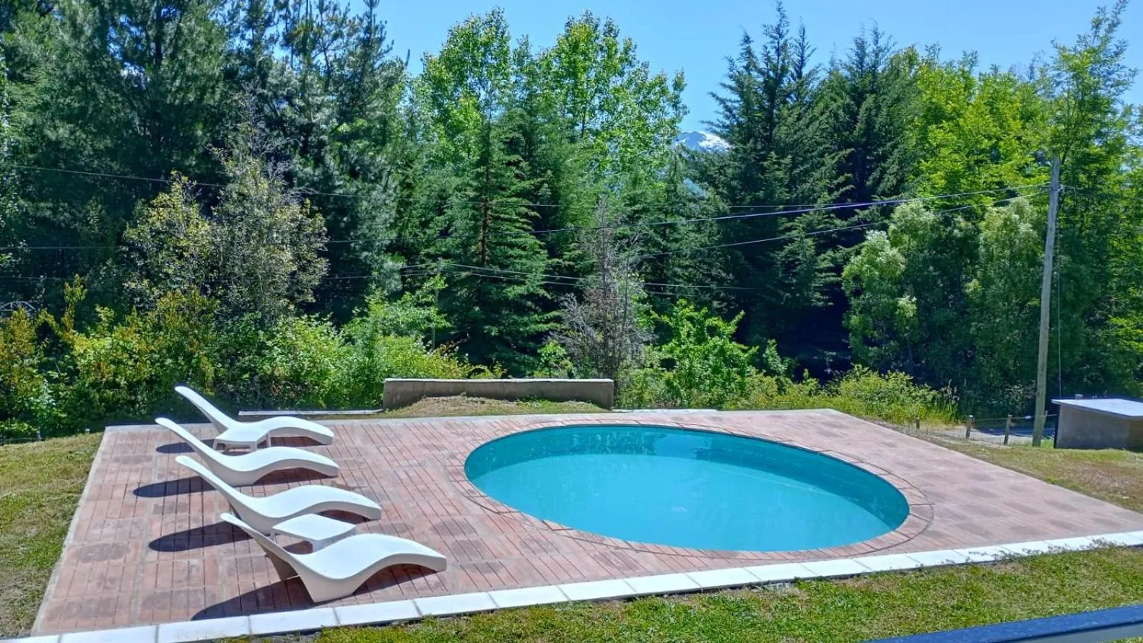 Day in Buena Vida Social Club