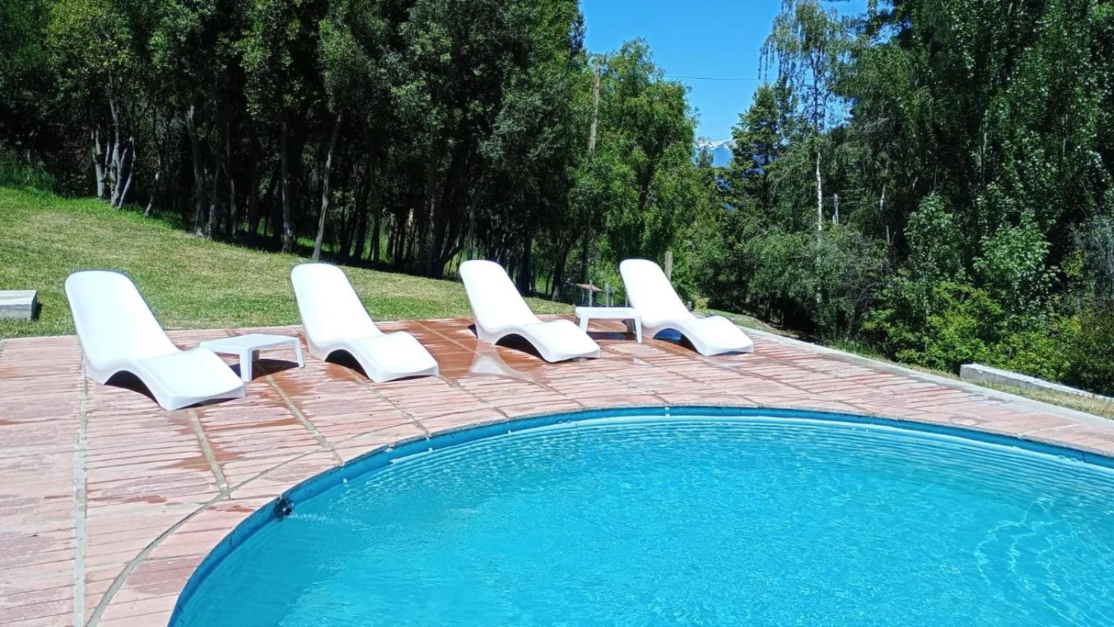 Swimming pool in Buena Vida Social Club