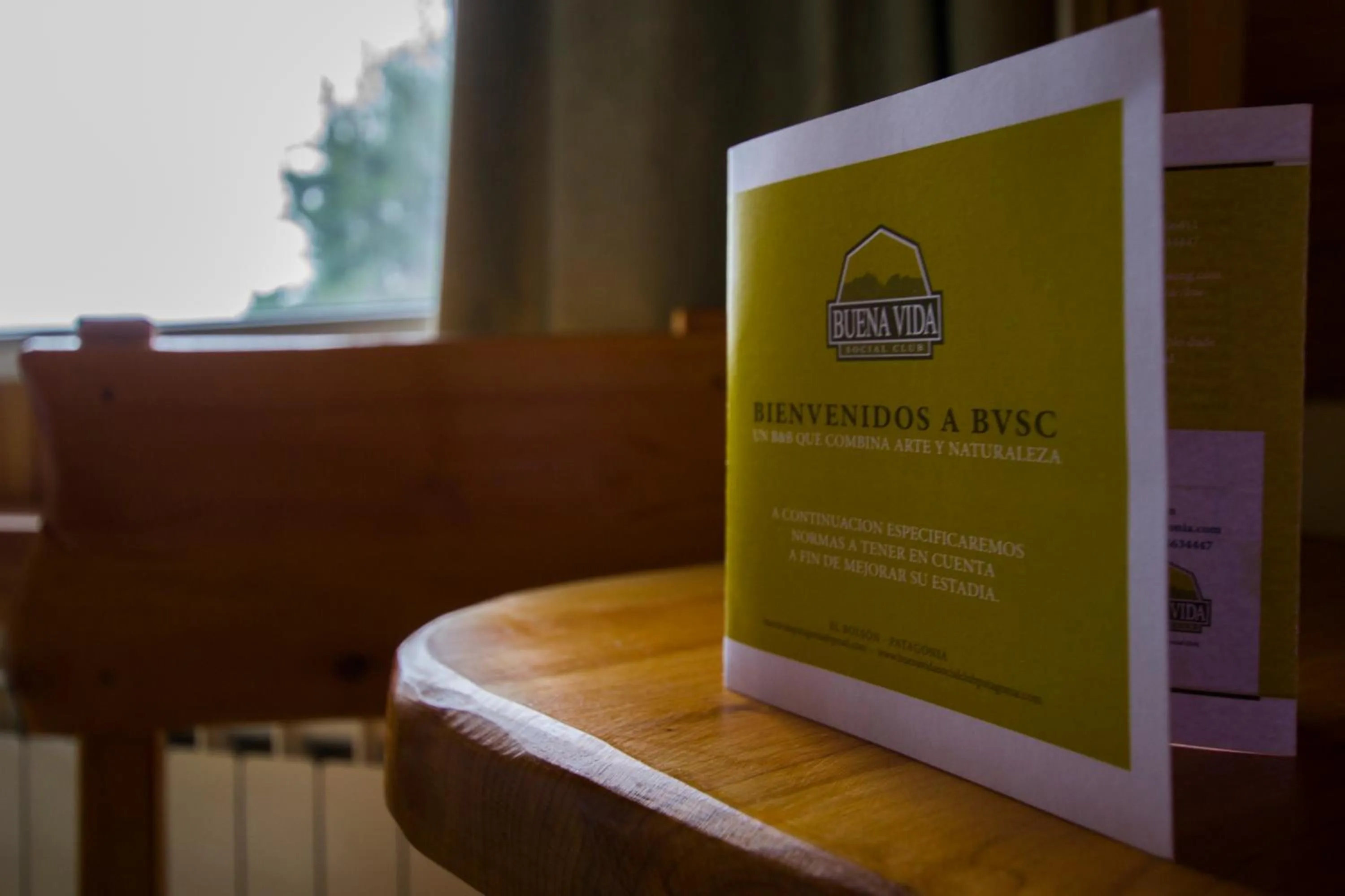 Logo/Certificate/Sign in Buena Vida Social Club