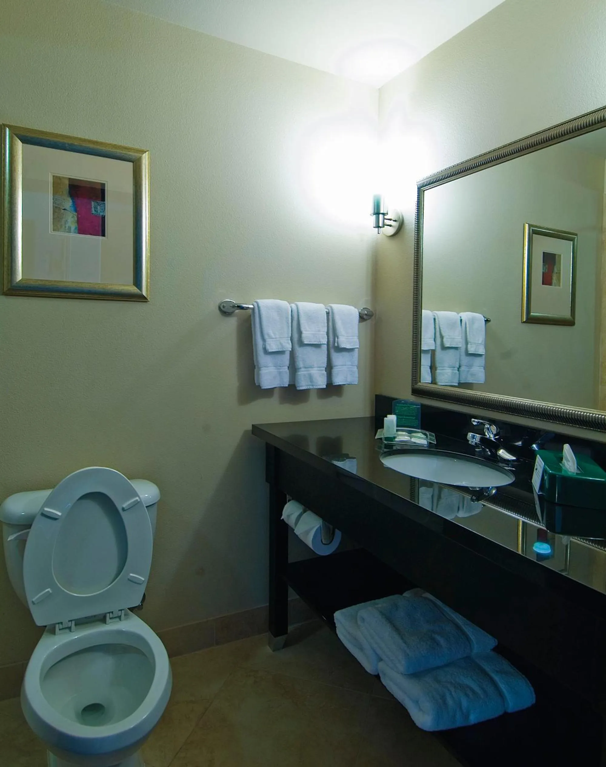 Toilet in Holiday Inn Temple - Belton by IHG