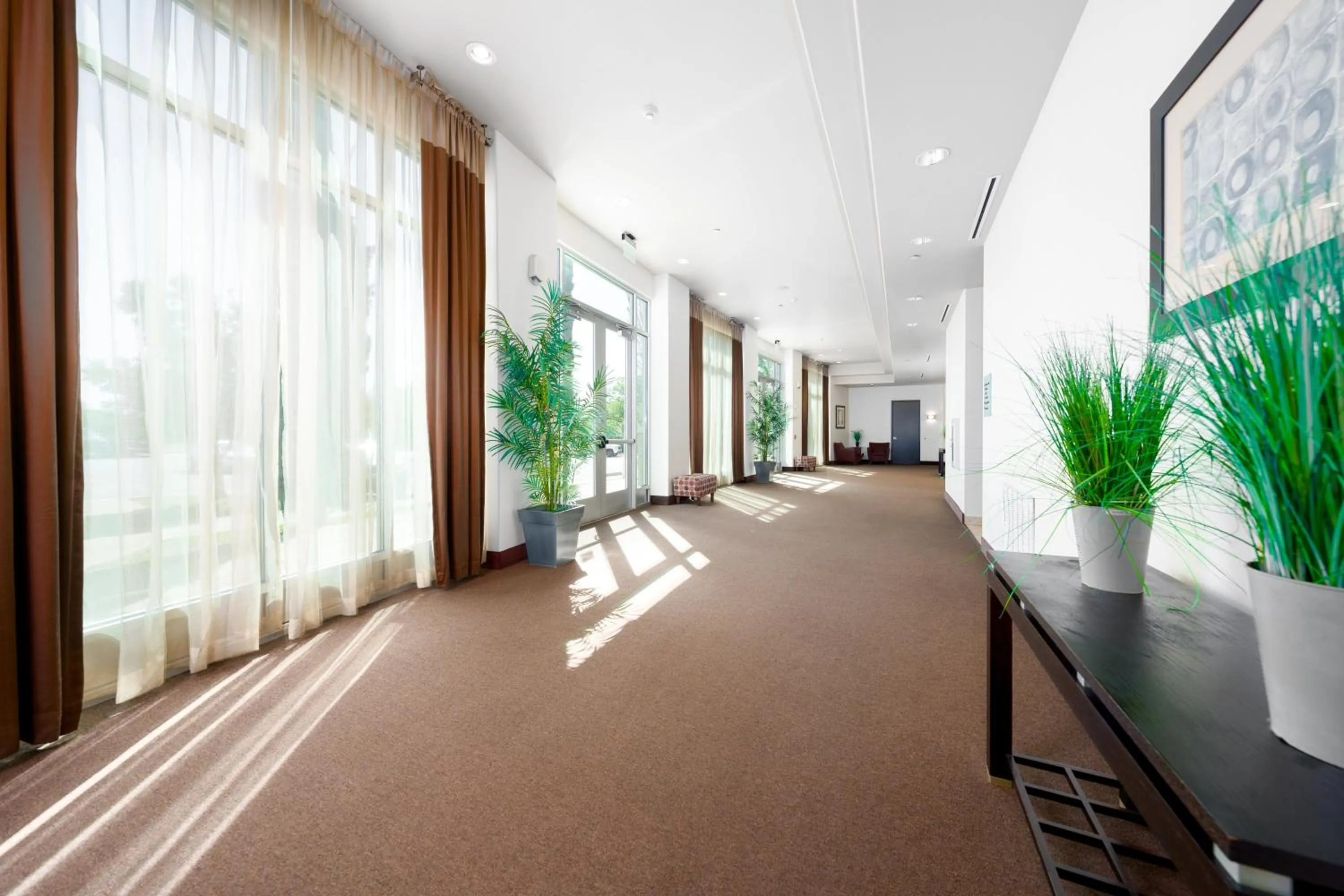 Meeting/conference room in Holiday Inn Temple - Belton by IHG