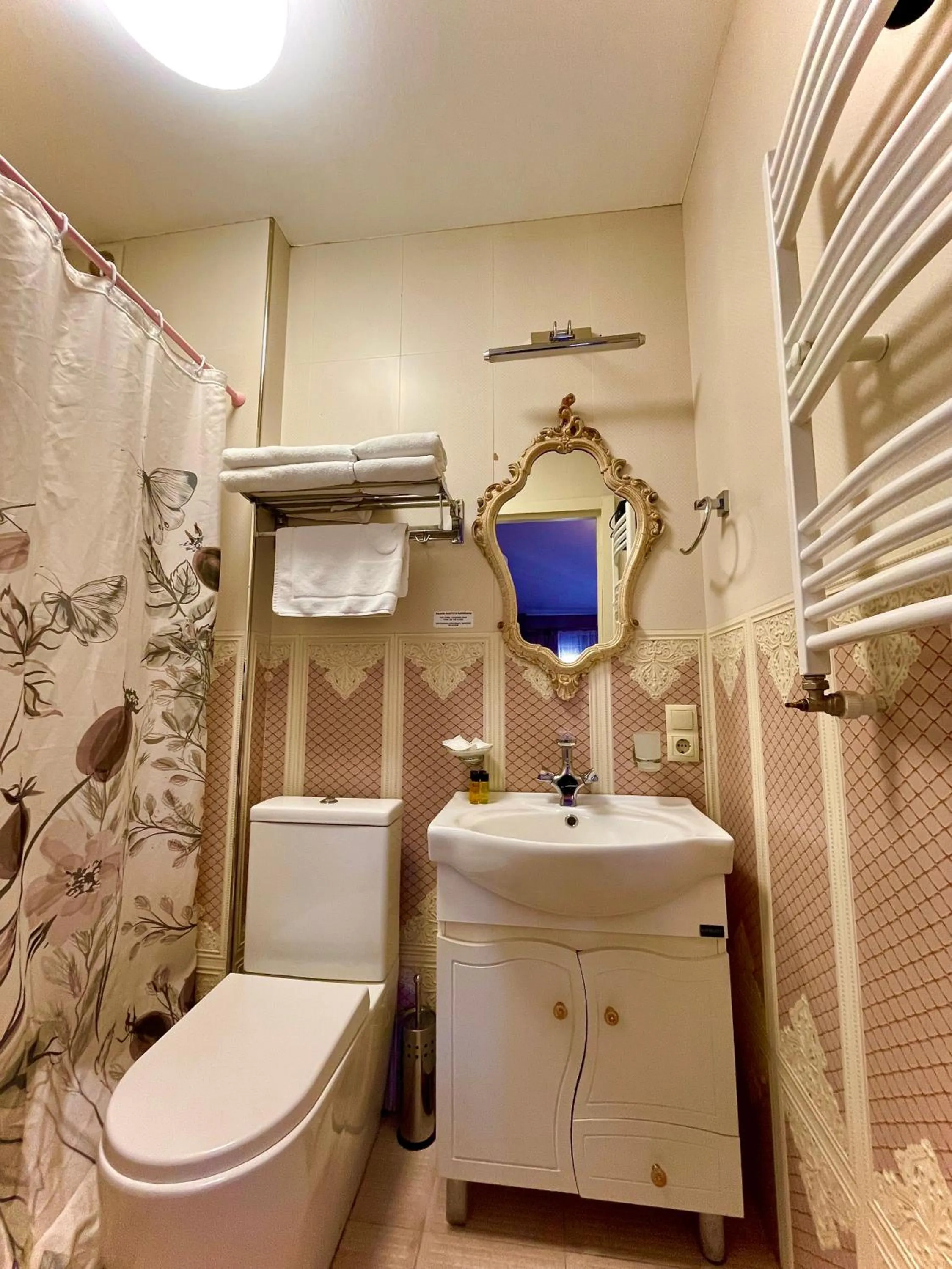 Toilet in Silver 34 Boutique