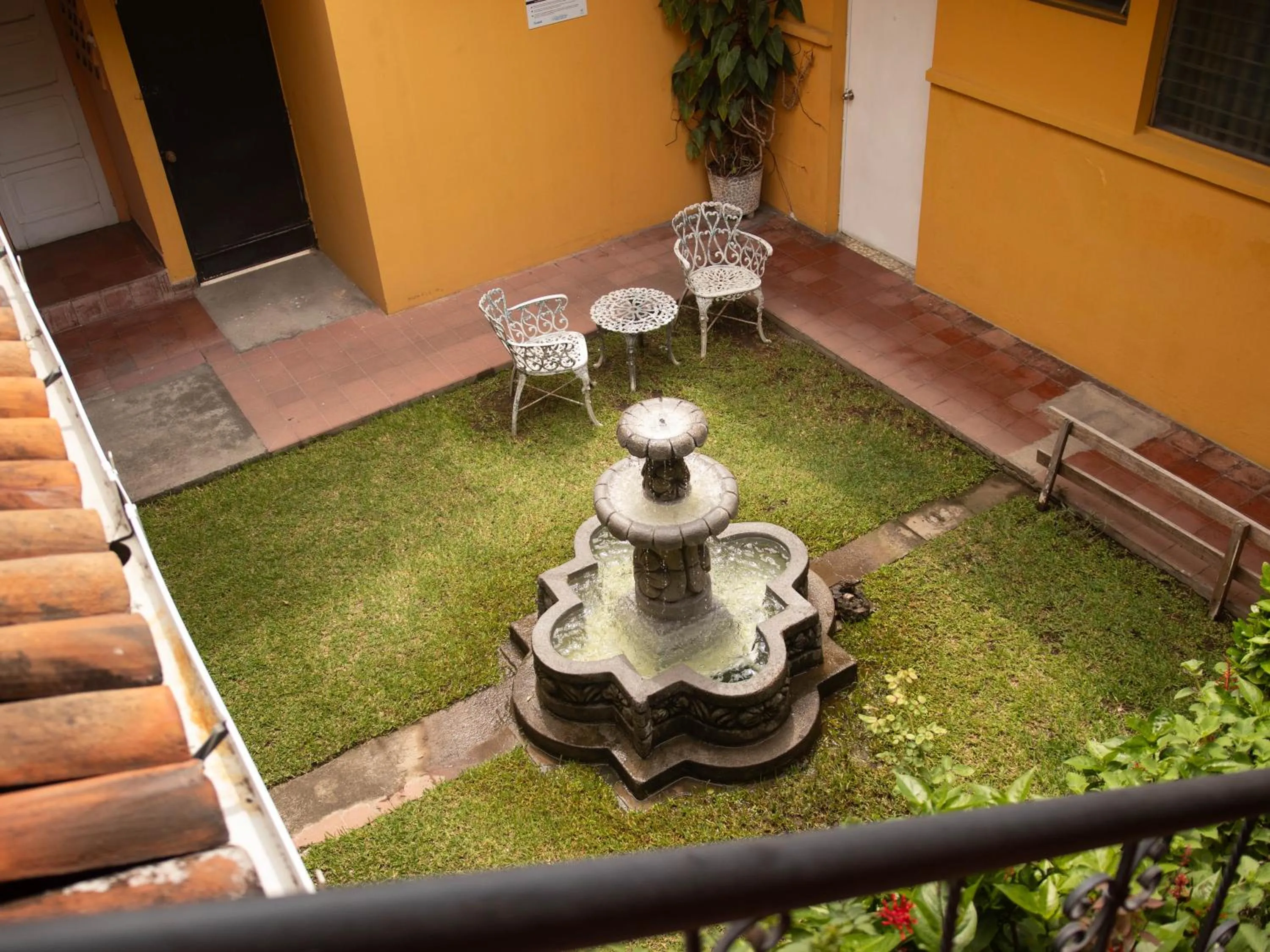 Garden view in Eco Hotel Mariscal