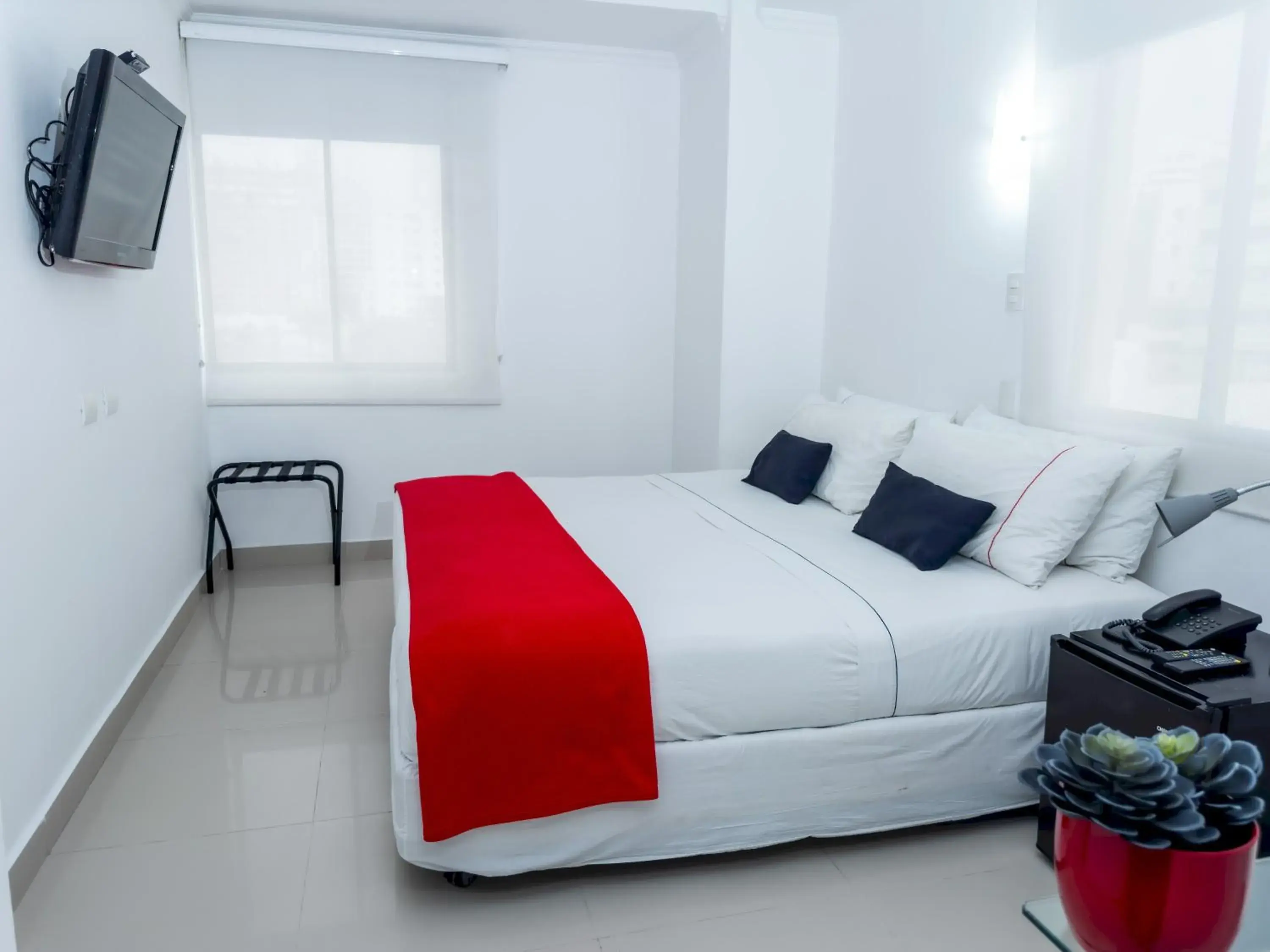 Standard Double Room in Zalmedina Hotel Standard Double Room in Zalmedina Hotel