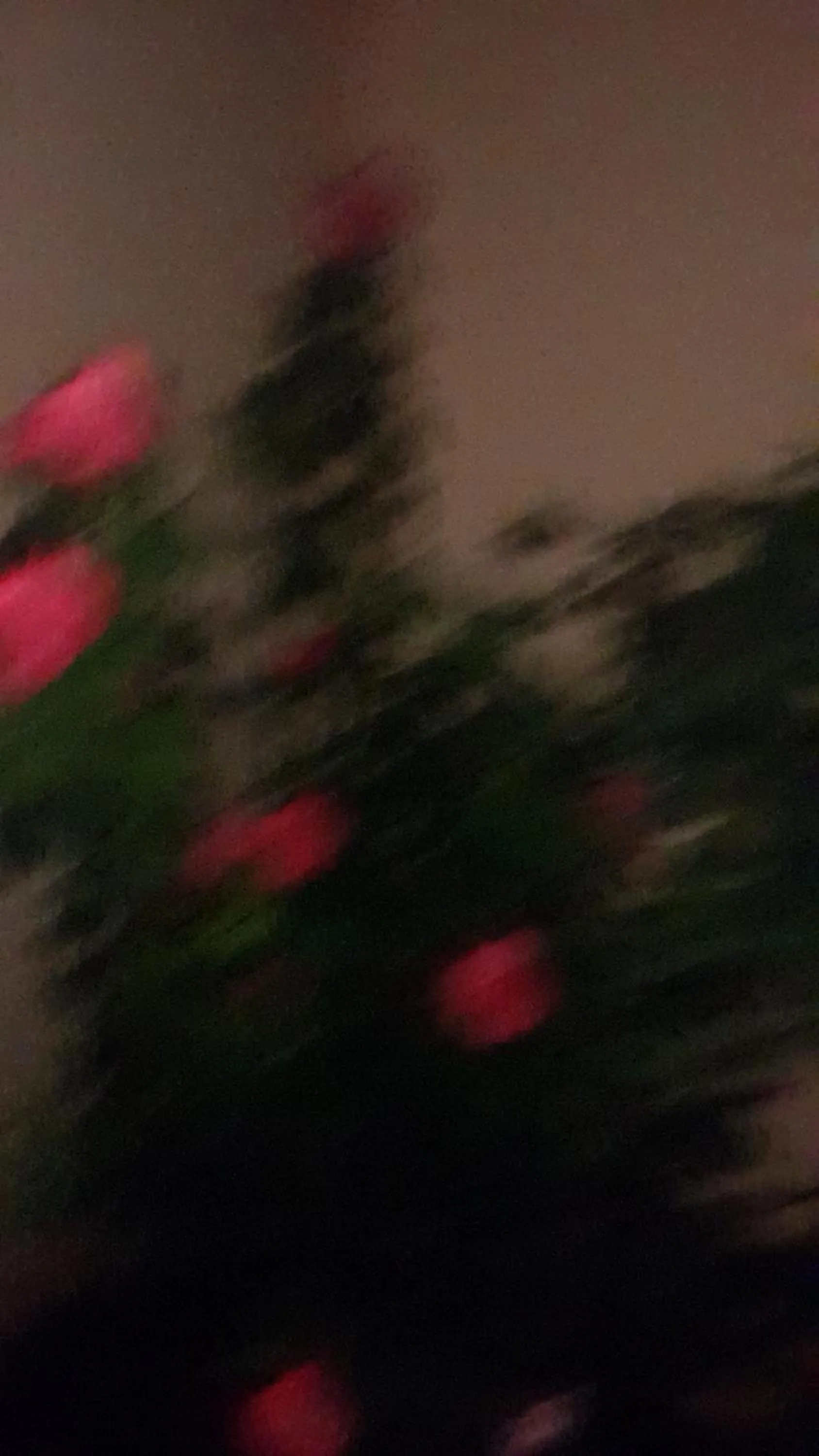 TINTECH BED & BREAKFAST