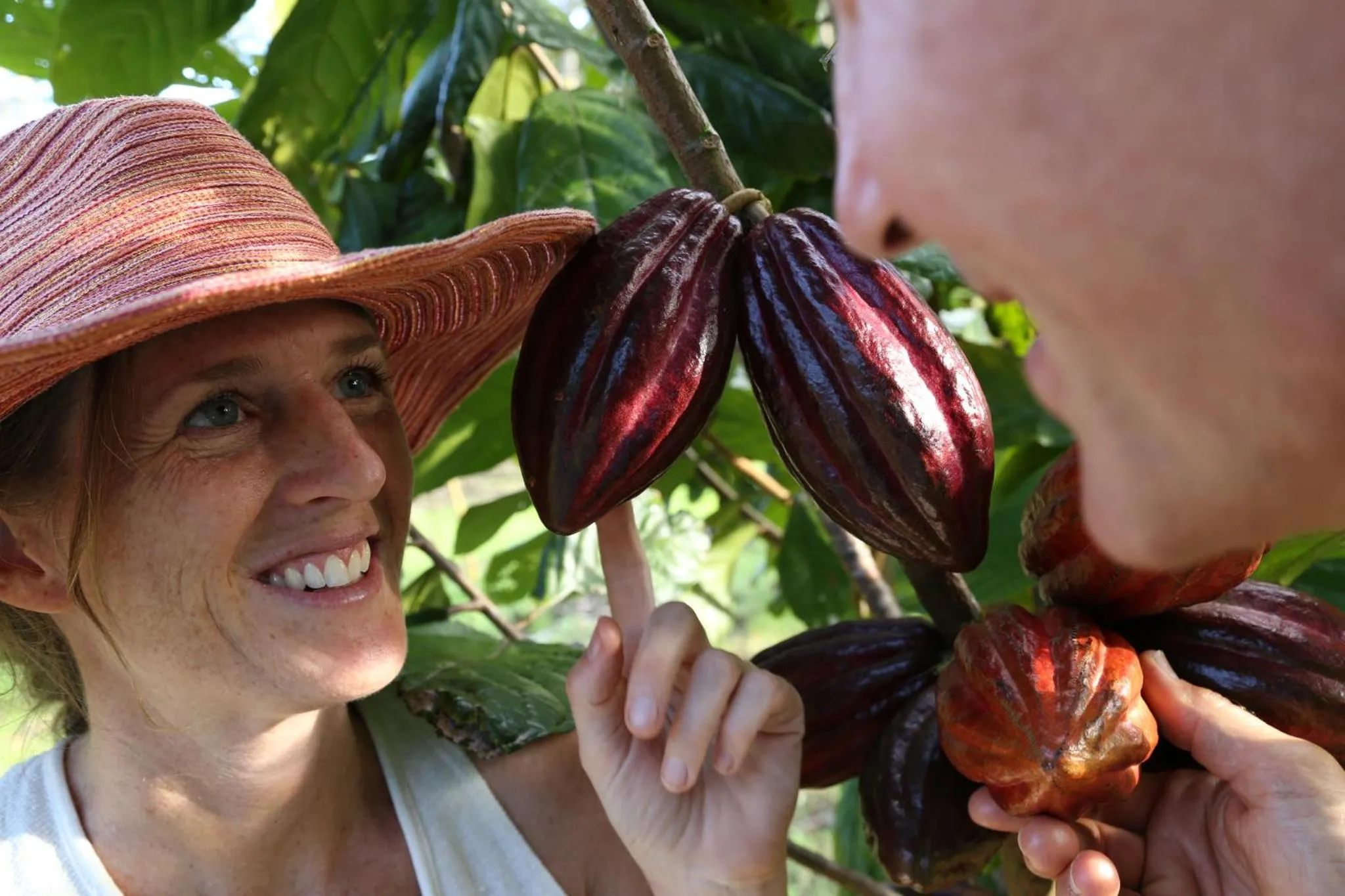 Garden in Hawaiian Sanctuary Eco Retreat Center