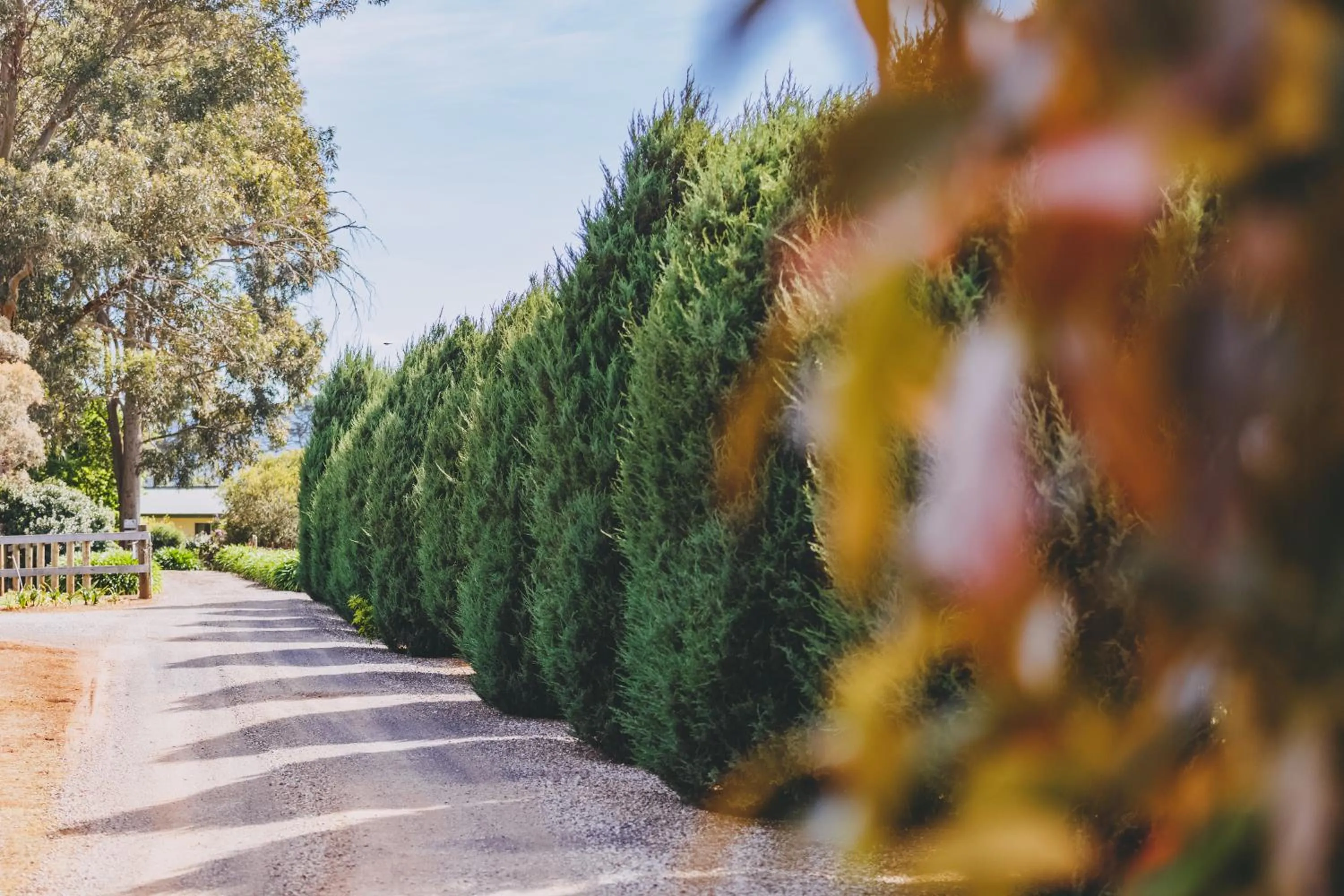 Property building in Dalblair Bed & Breakfast