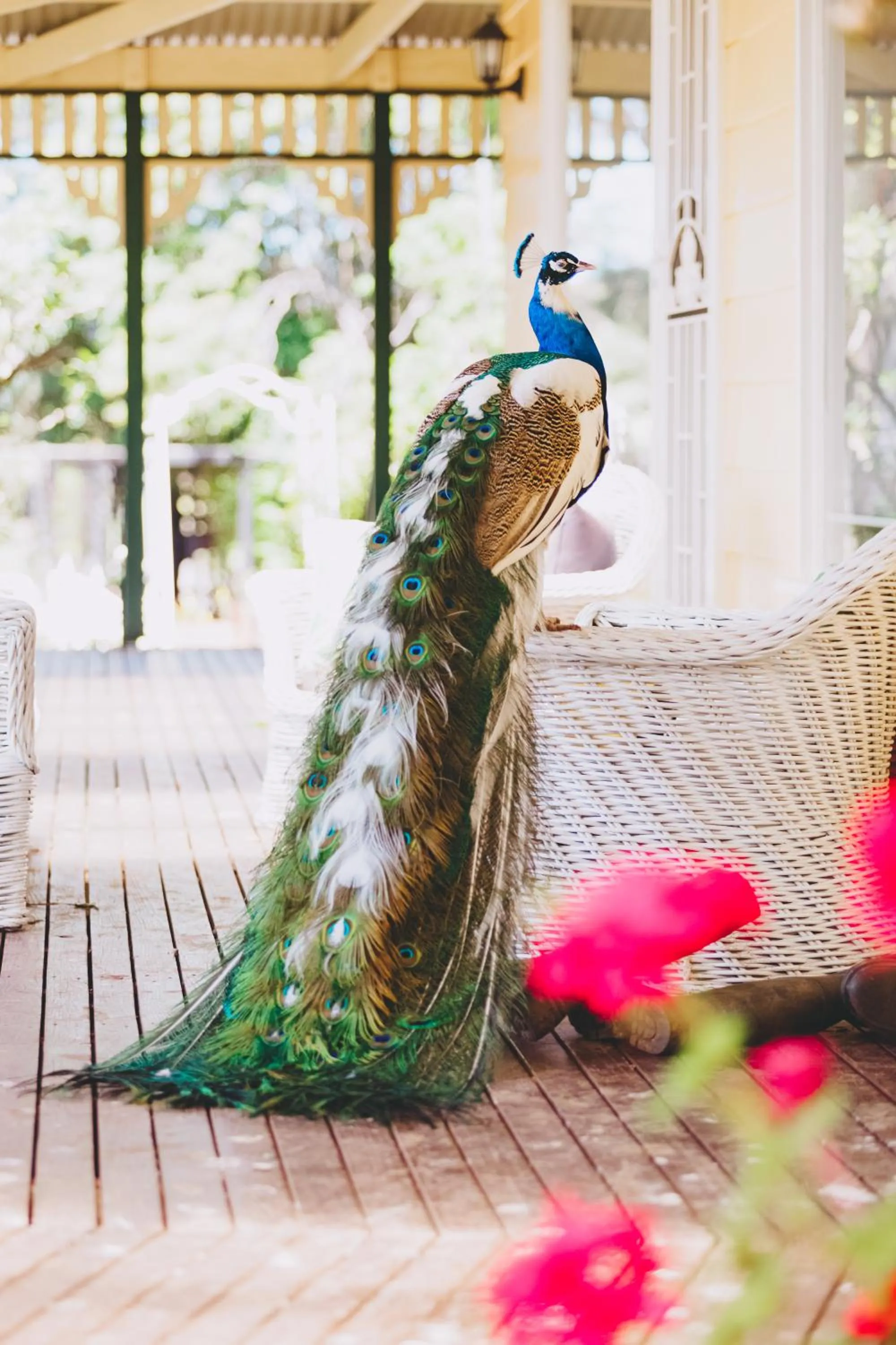 Property building in Dalblair Bed & Breakfast