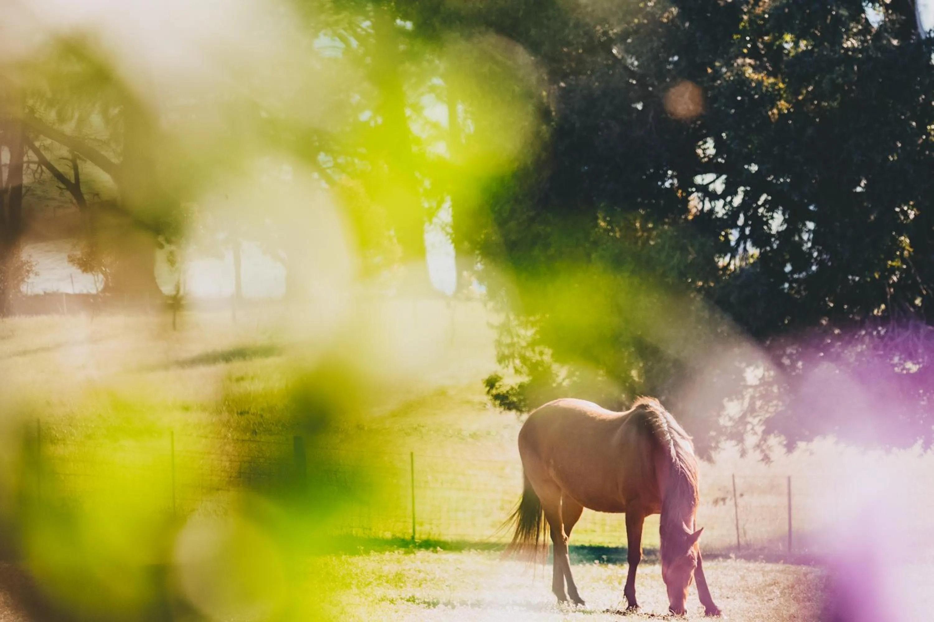 Property building in Dalblair Bed & Breakfast