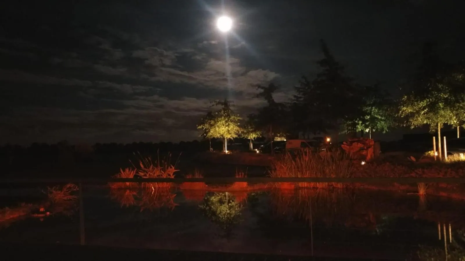 Night in Country Lodge Hotel Moriaanshoofd