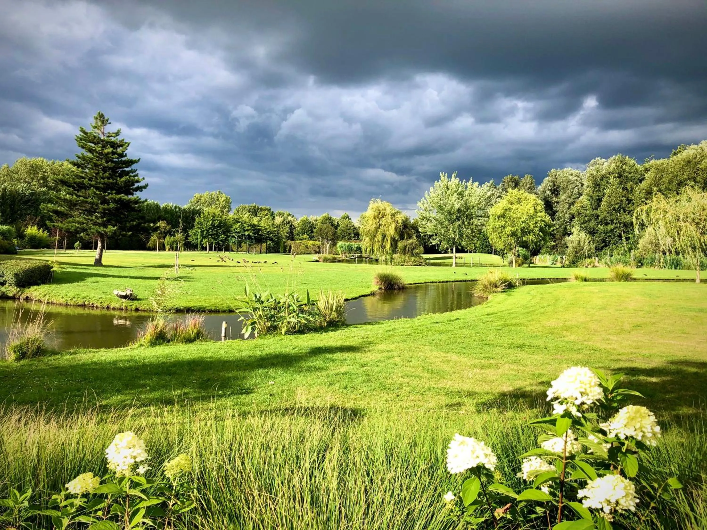 Garden in Country Lodge Hotel Moriaanshoofd