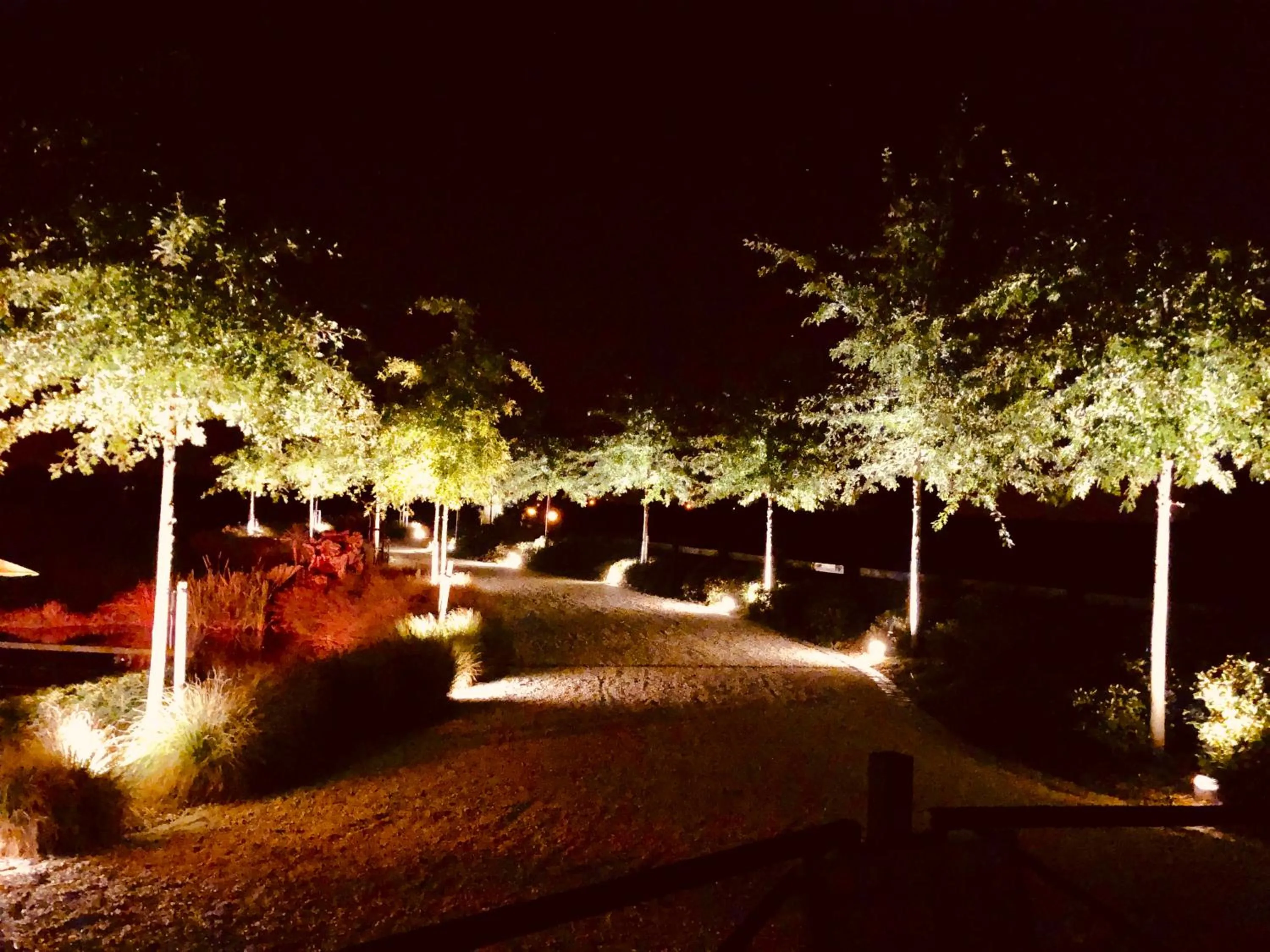 Garden in Country Lodge Hotel Moriaanshoofd