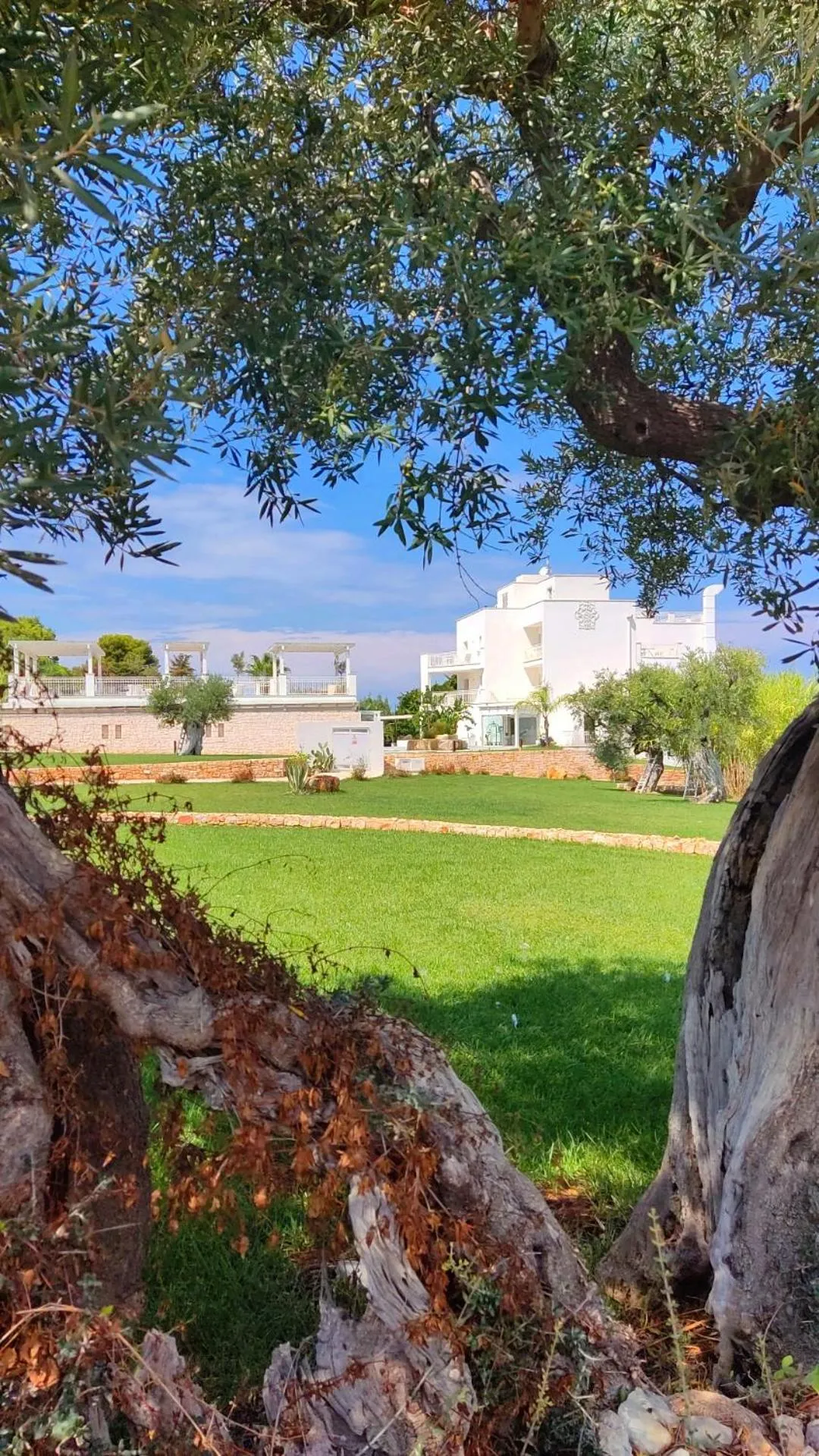 Property building in San Lorenzo Boutique Hotel & SPA