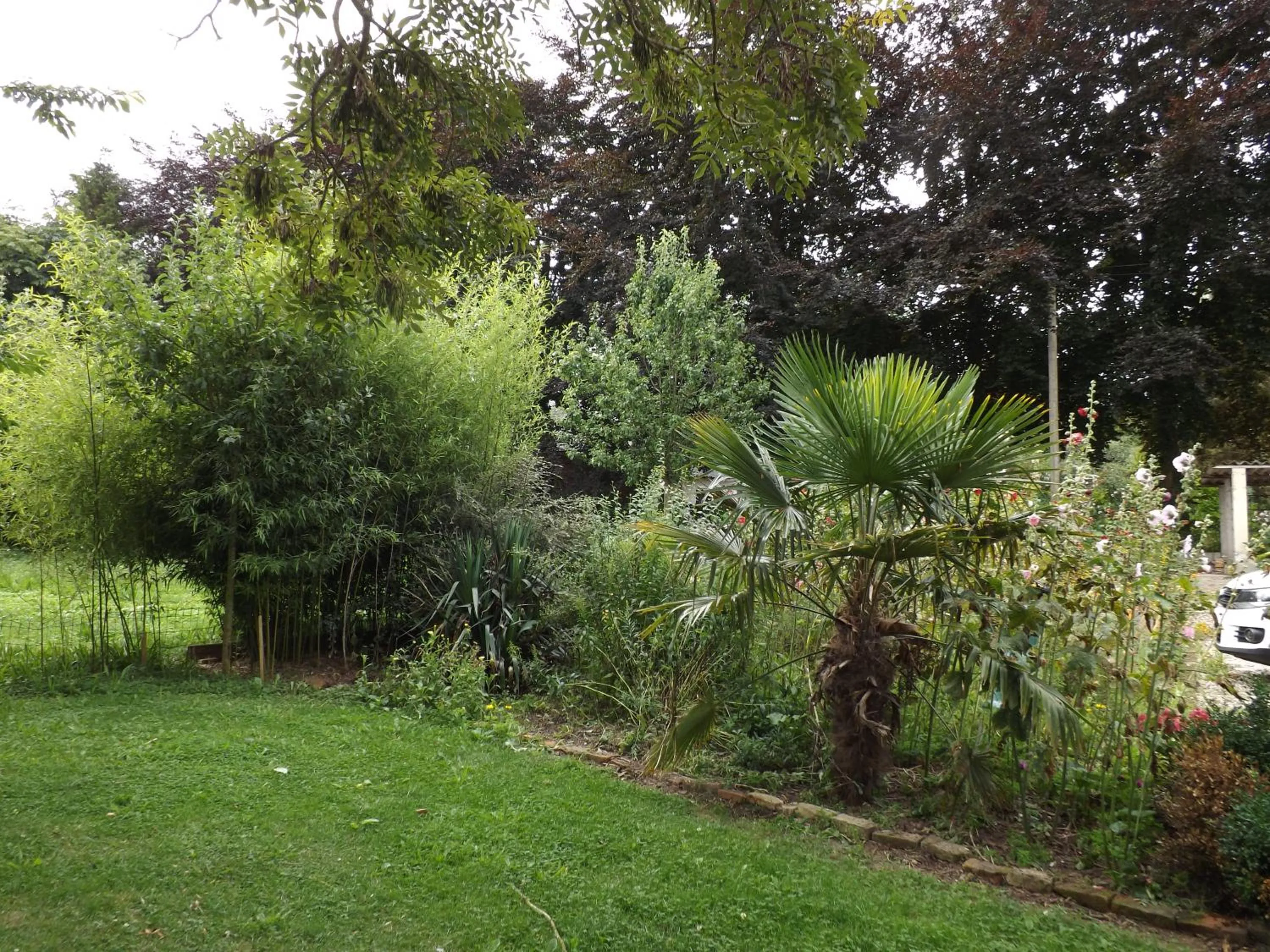 Garden in Chambres d'Hôtes Villa Mon Repos