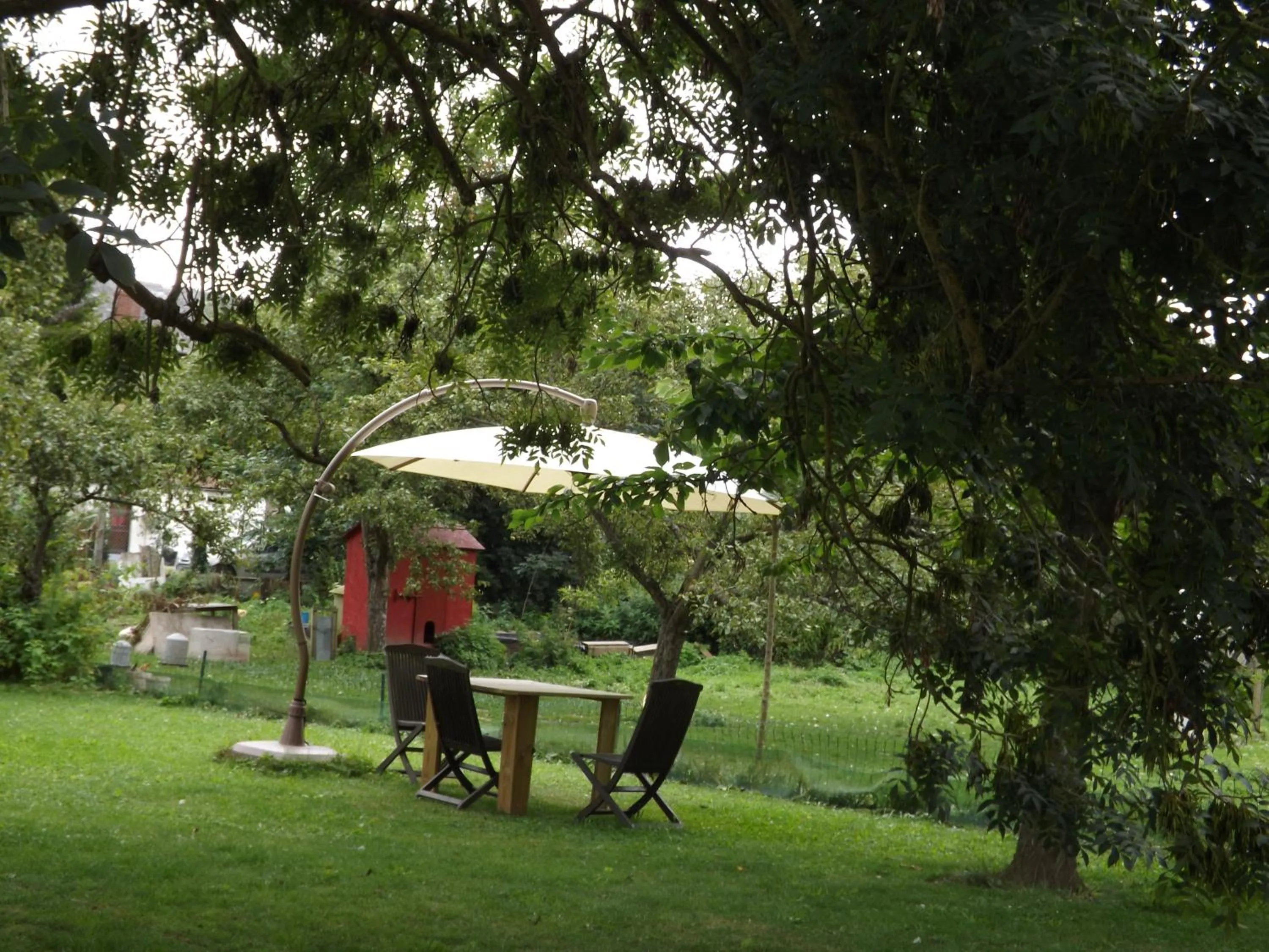 Garden in Chambres d'Hôtes Villa Mon Repos