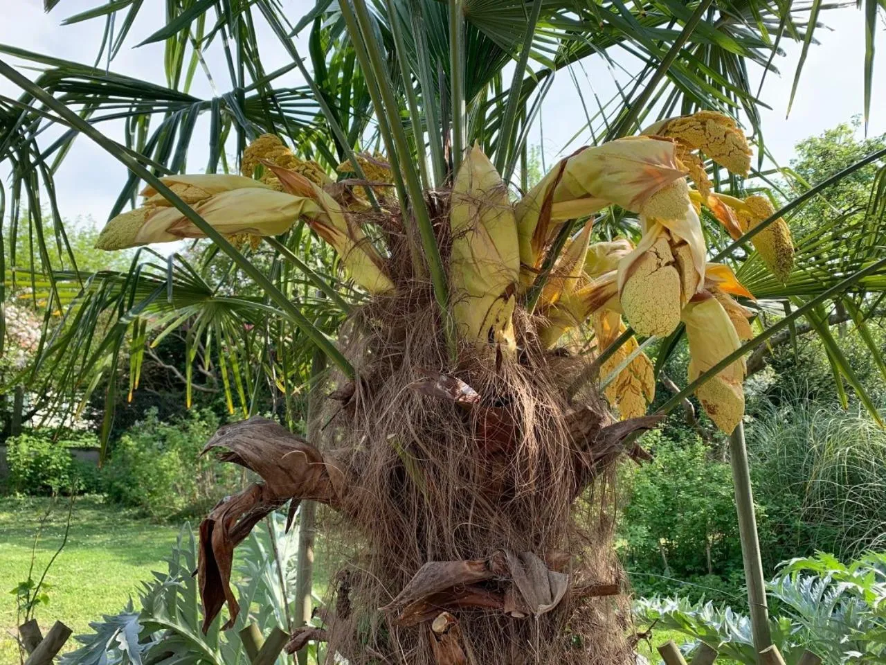 Garden in Chambres d'Hôtes Villa Mon Repos