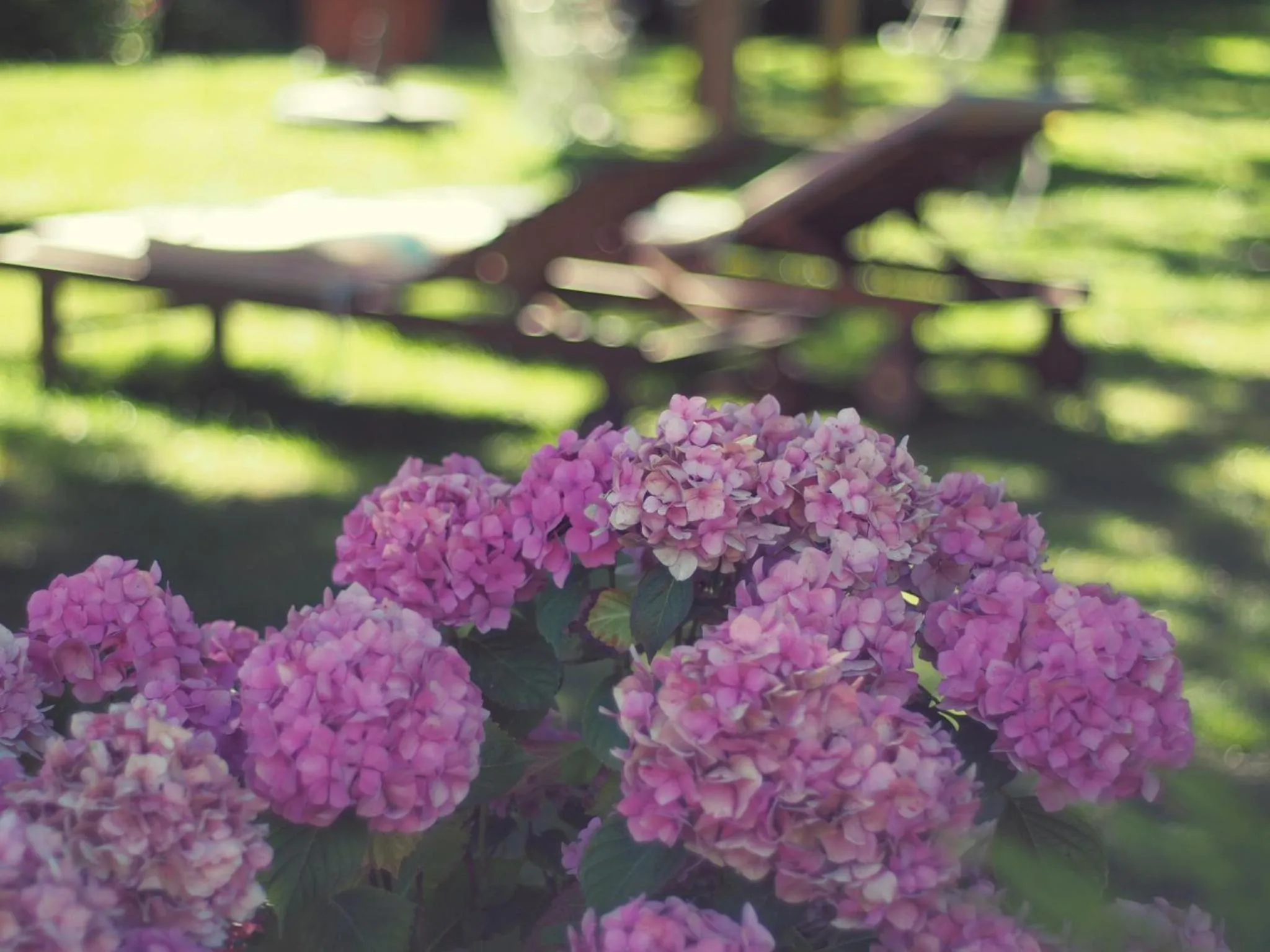 Garden in Chambres d'Hôtes Villa Mon Repos