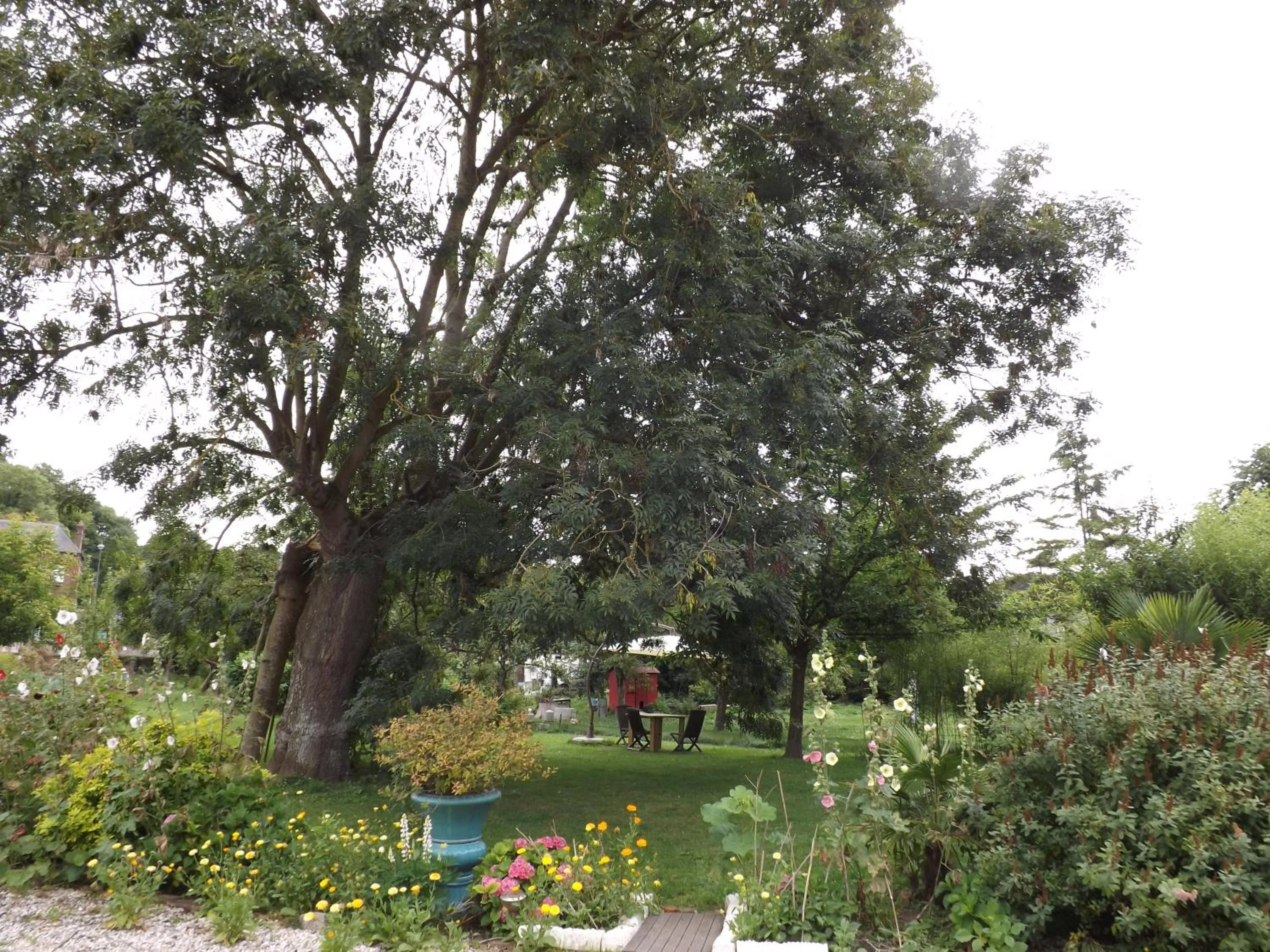 Garden in Chambres d'Hôtes Villa Mon Repos
