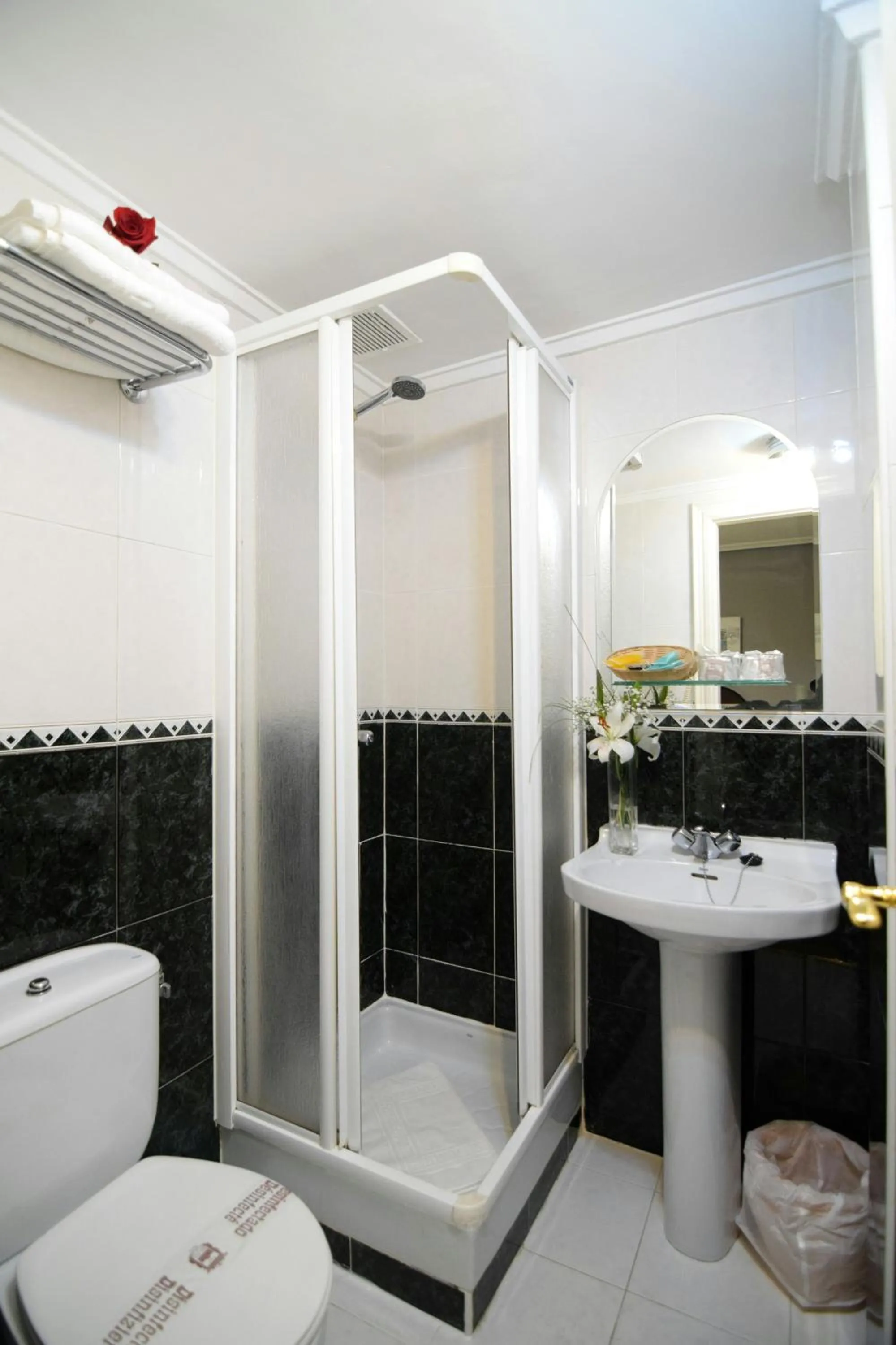 Shower in Hospedium Plaza Mayor Salamanca