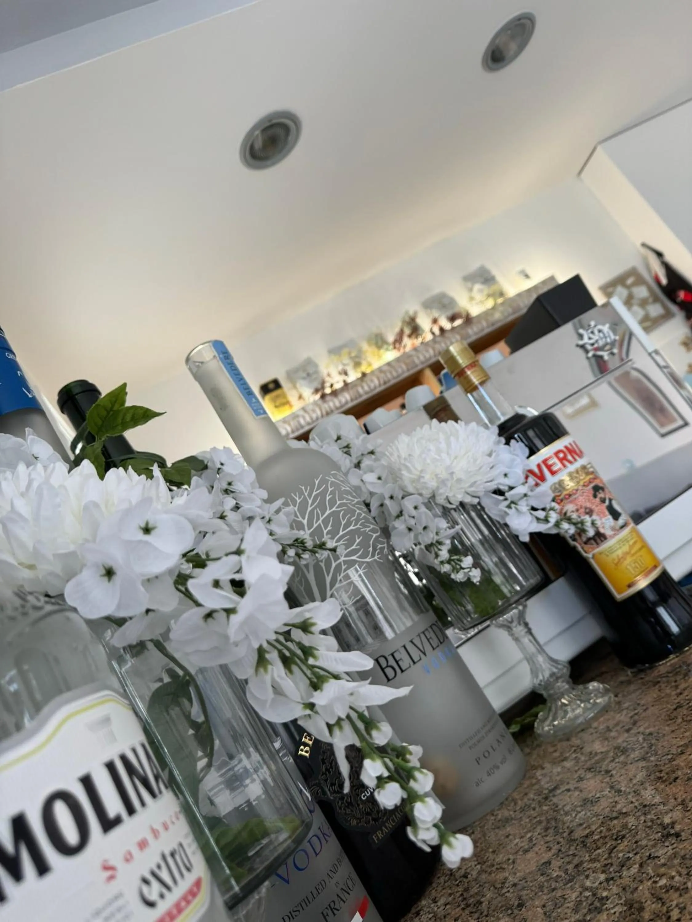 Lounge or bar in Hotel Vera