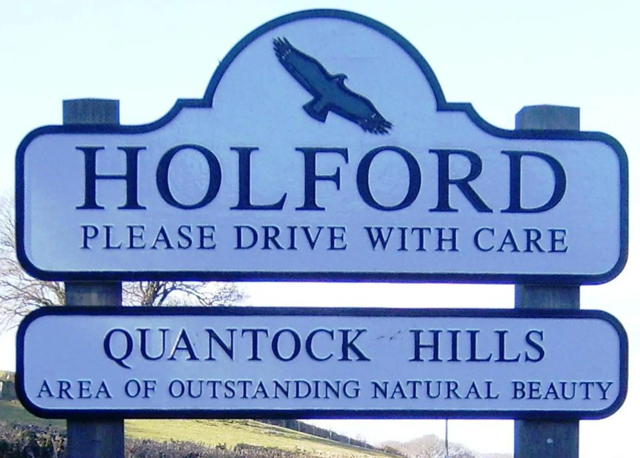 Area and facilities in Combe House Hotel