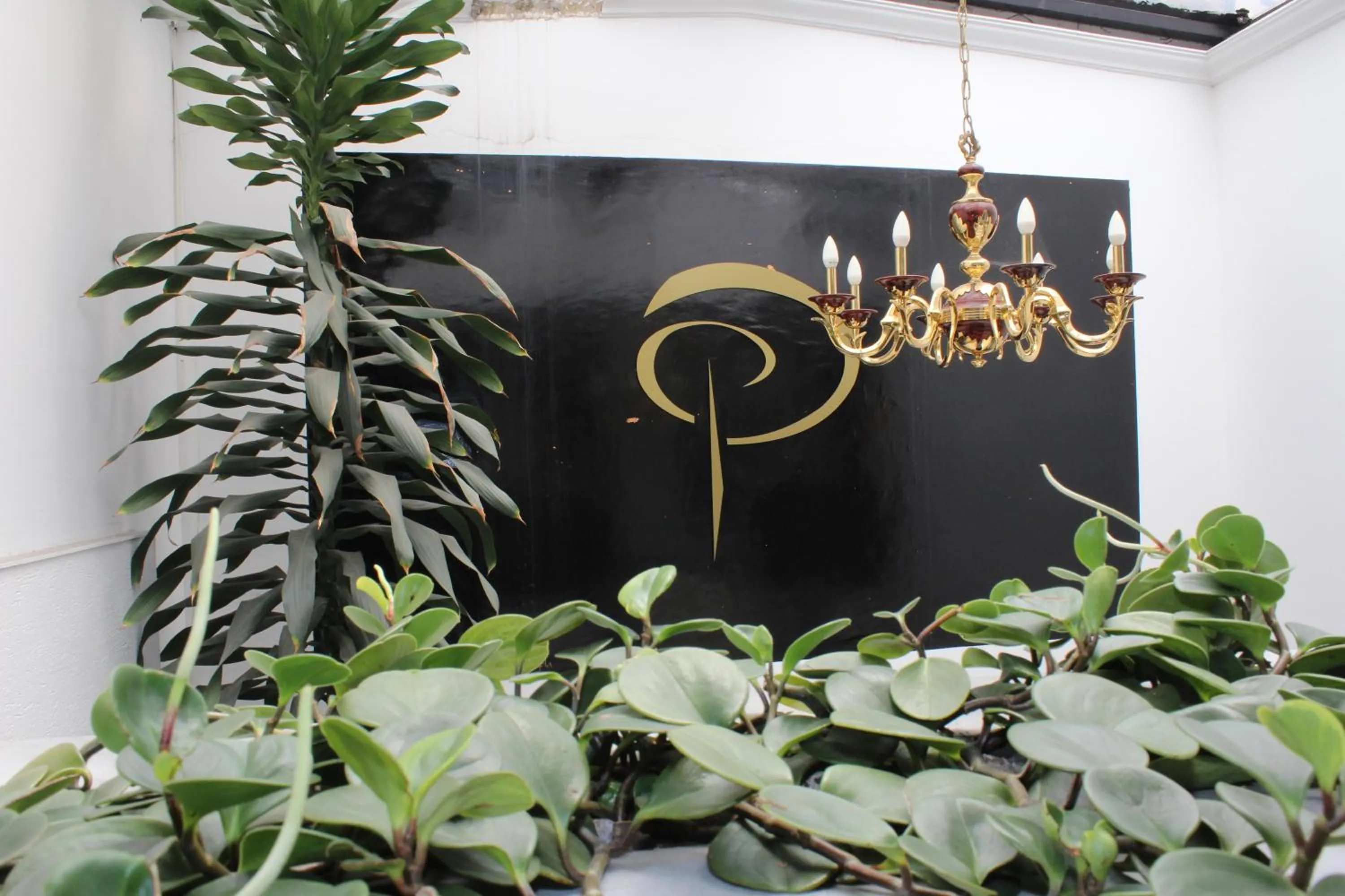 Property logo or sign in Hotel Dorado Plaza Bogota