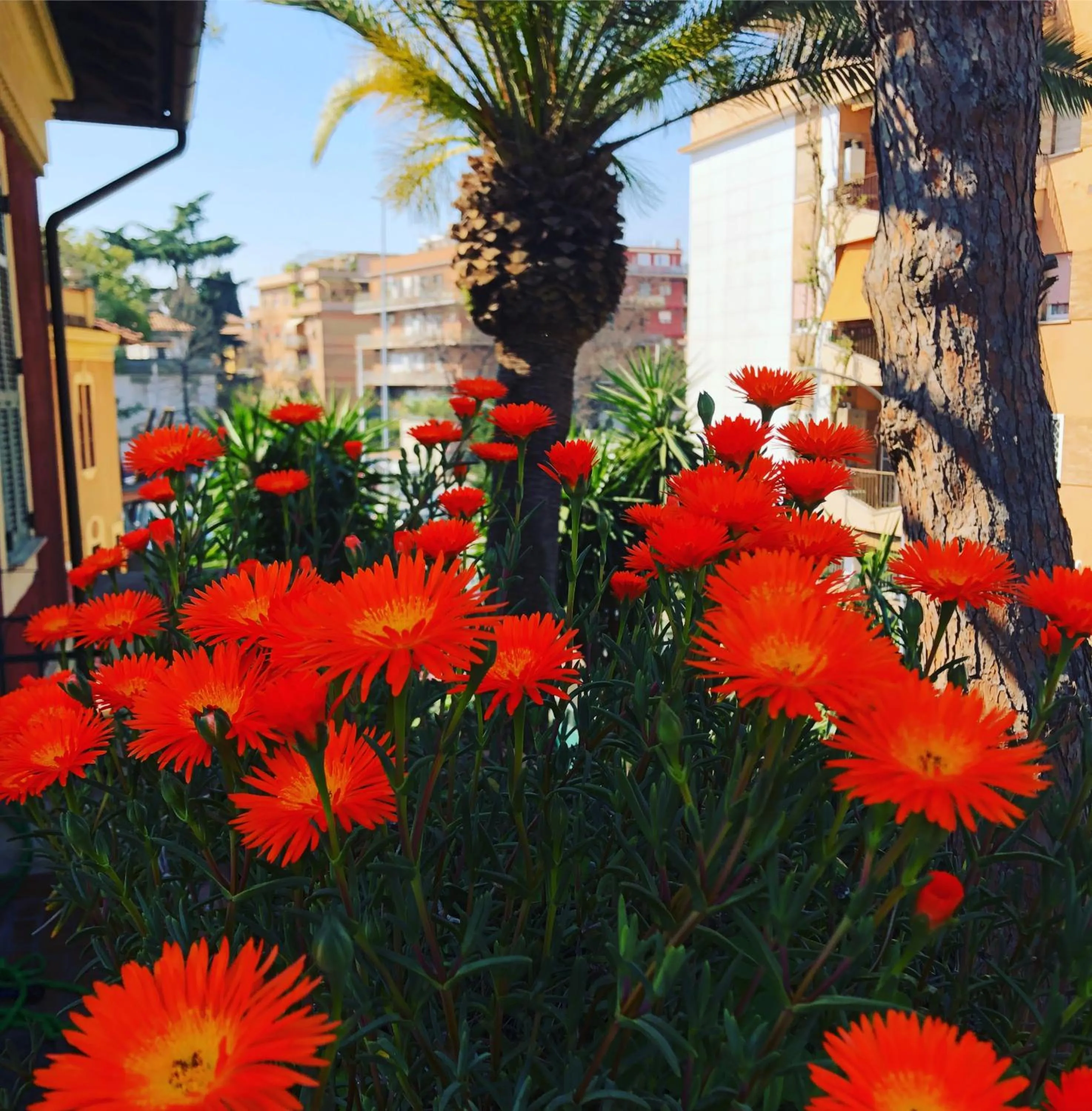 Day in Il Tempio di Morfeo