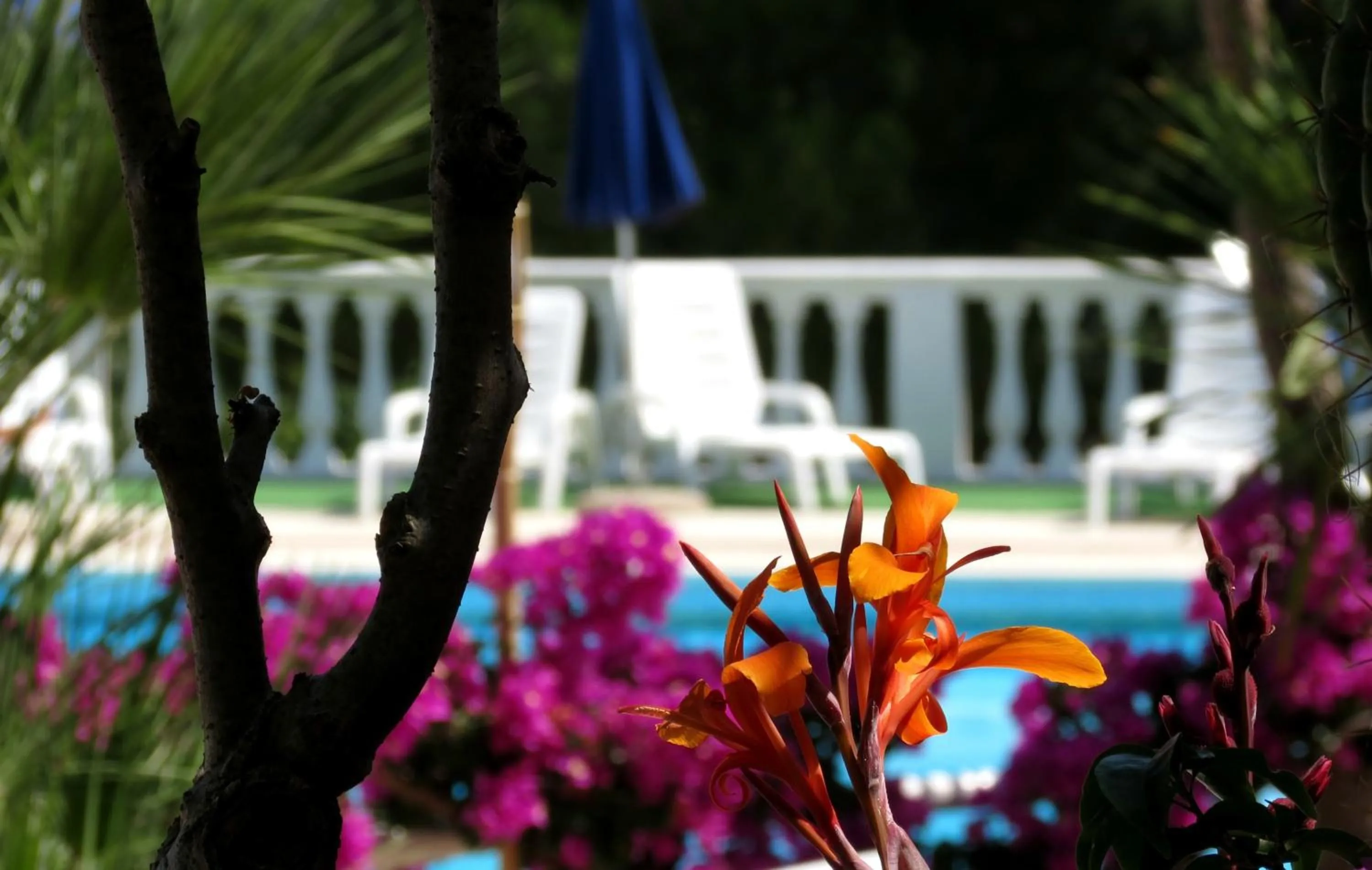 Other in RESIDENCE EMARINE con SERVIZIO SPIAGGIA INCLUSO