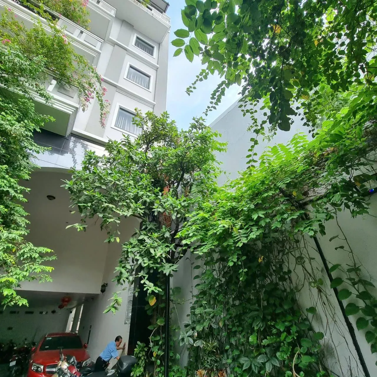 Garden view in Ngoi Sao Phuong Nam Hotel