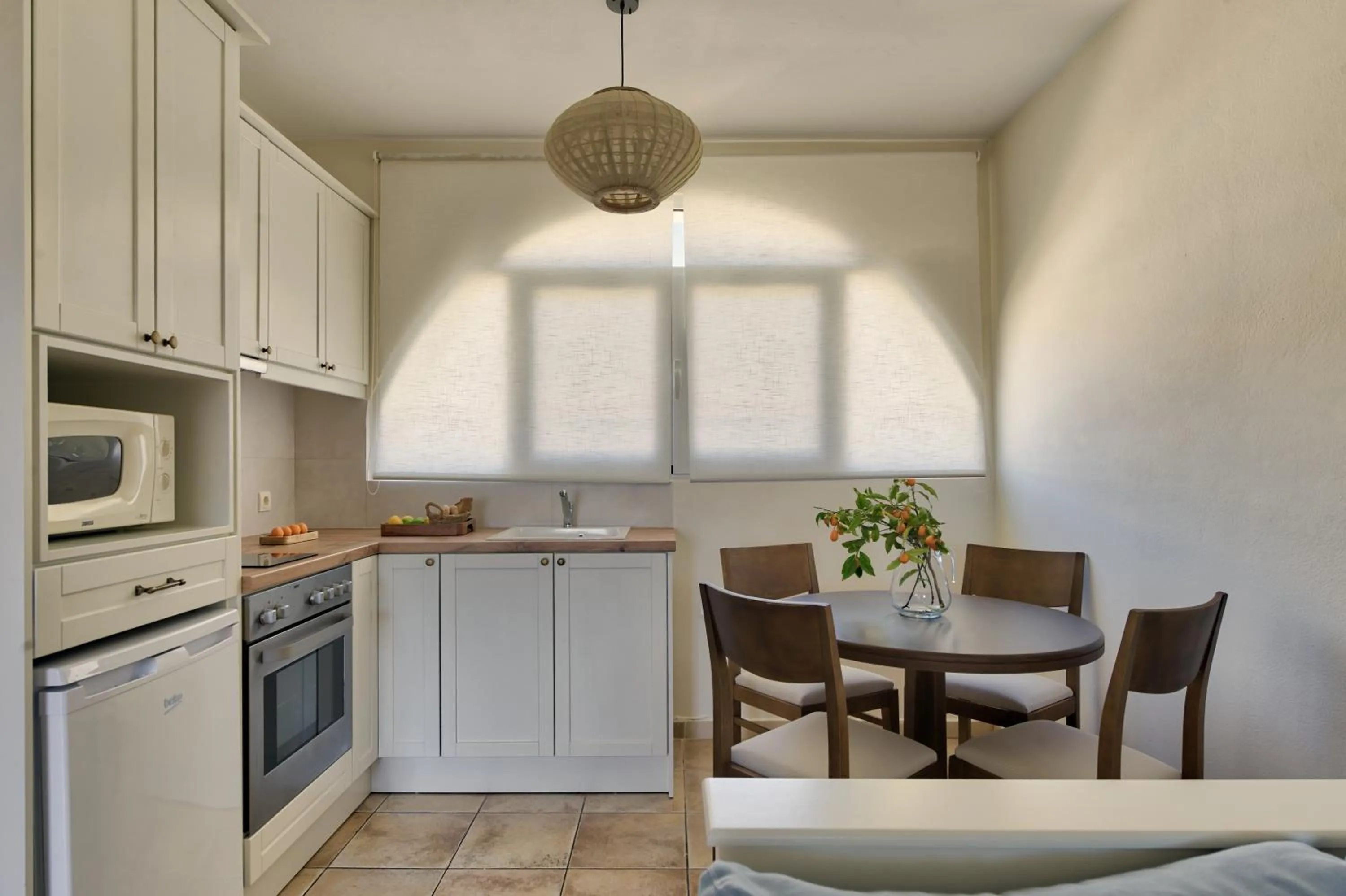 Kitchen or kitchenette in Erietta Aparthotel