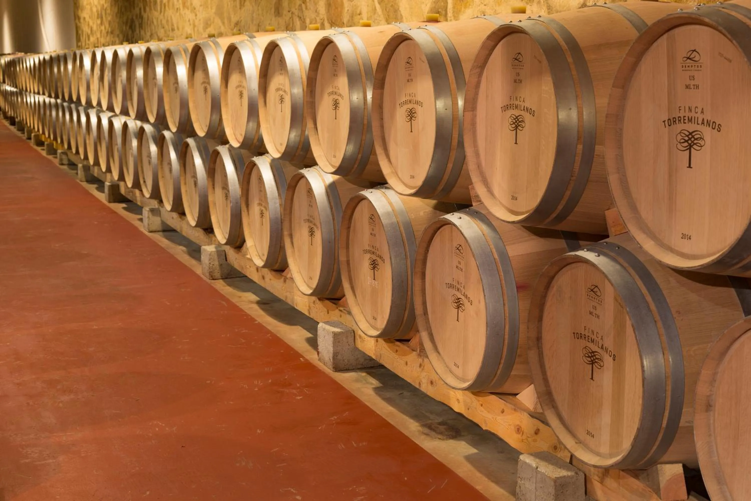 Area and facilities in Hotel Torremilanos