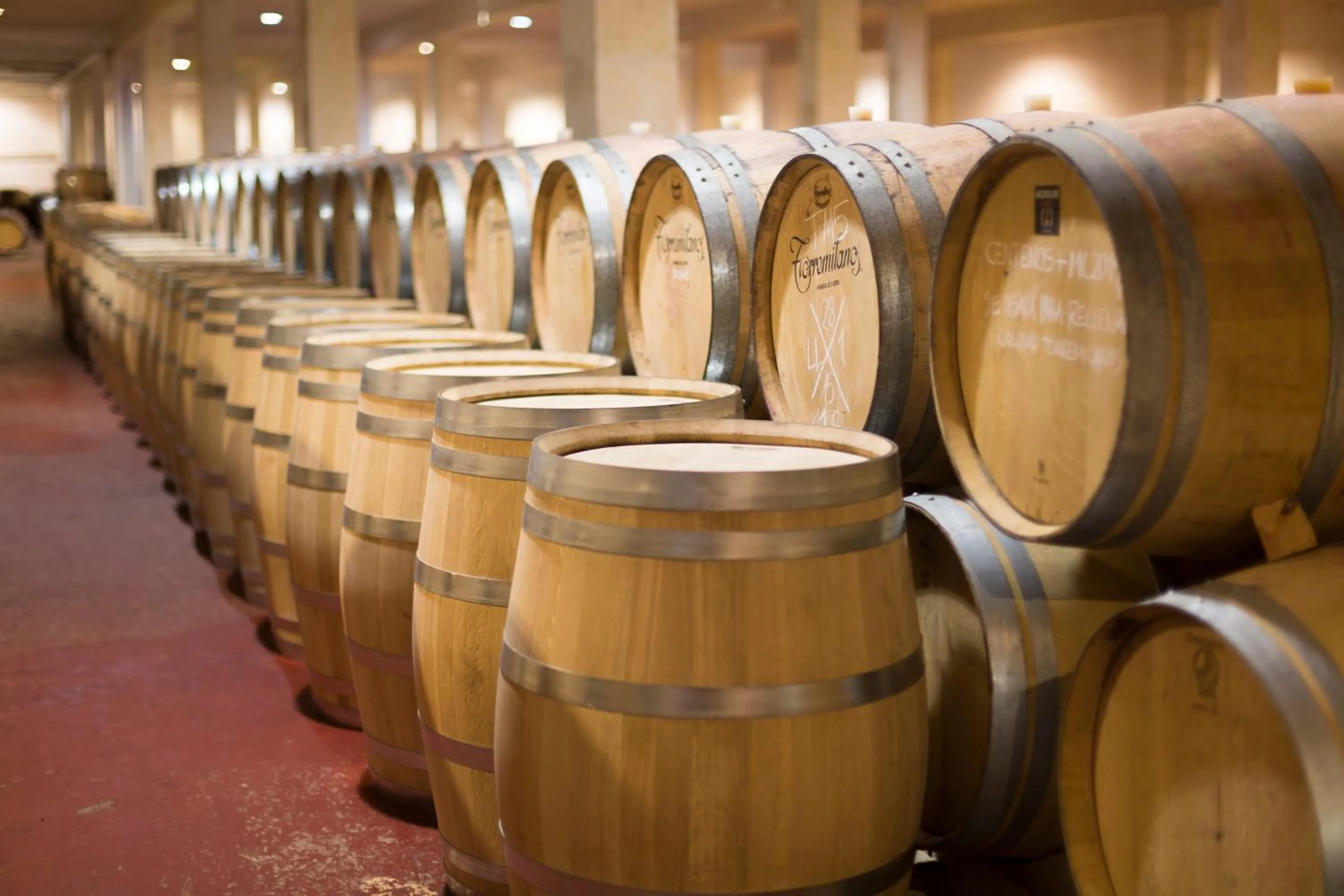 Area and facilities in Hotel Torremilanos