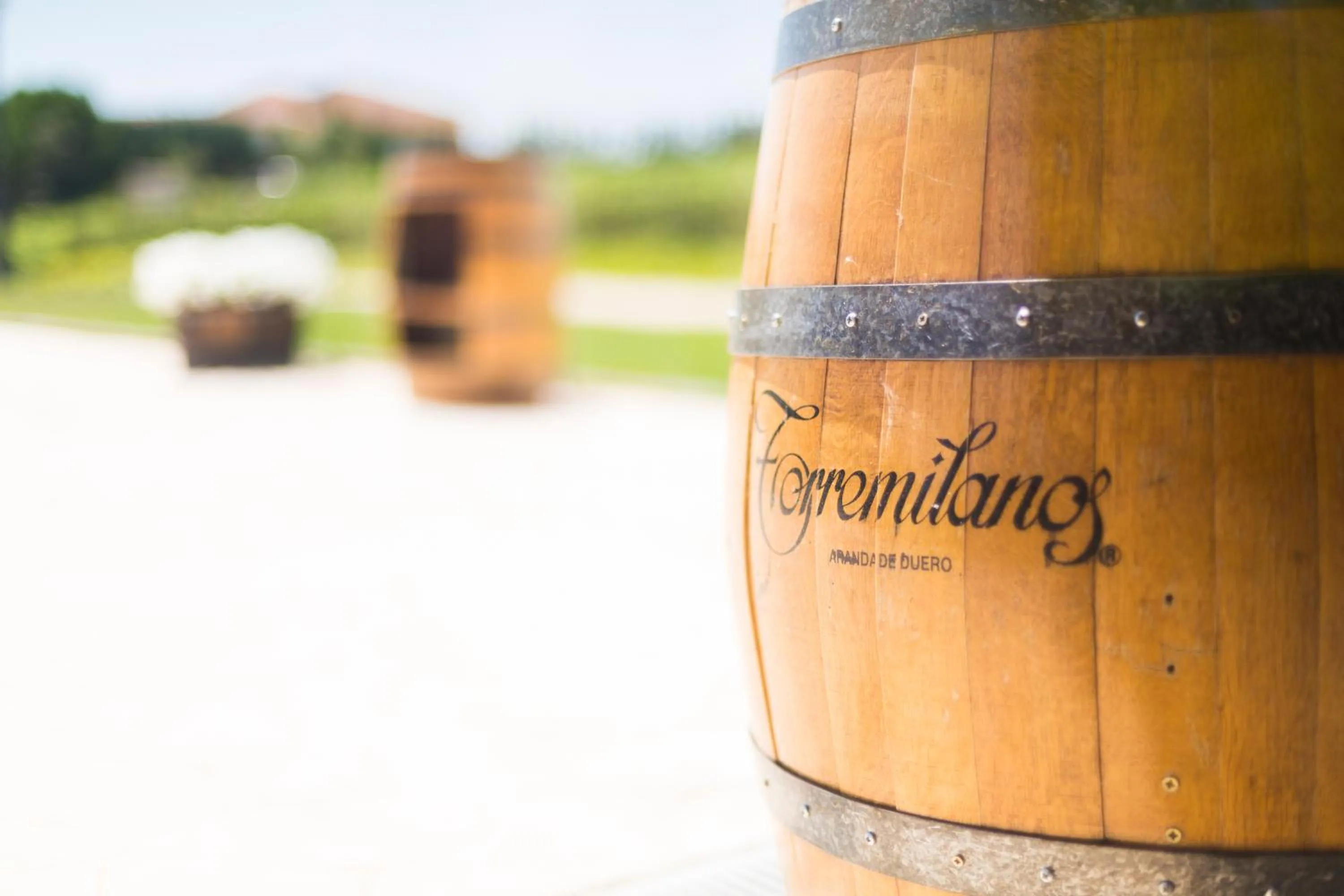 Activities in Hotel Torremilanos