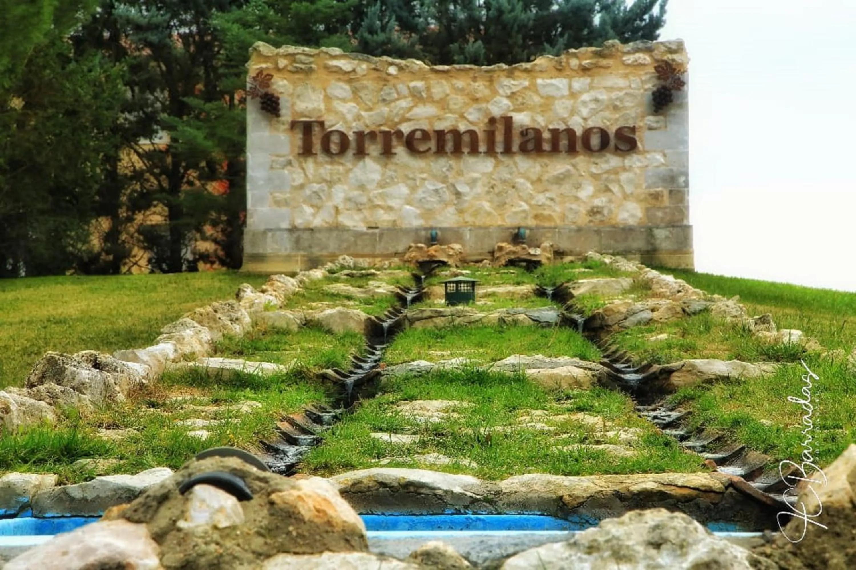 Natural landscape in Hotel Torremilanos