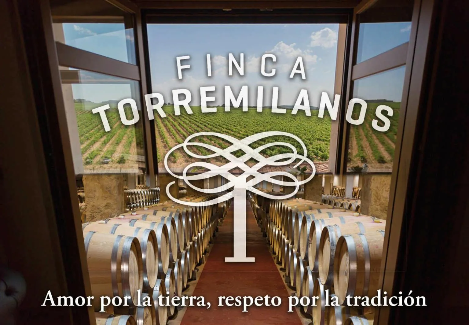 Property logo or sign in Hotel Torremilanos