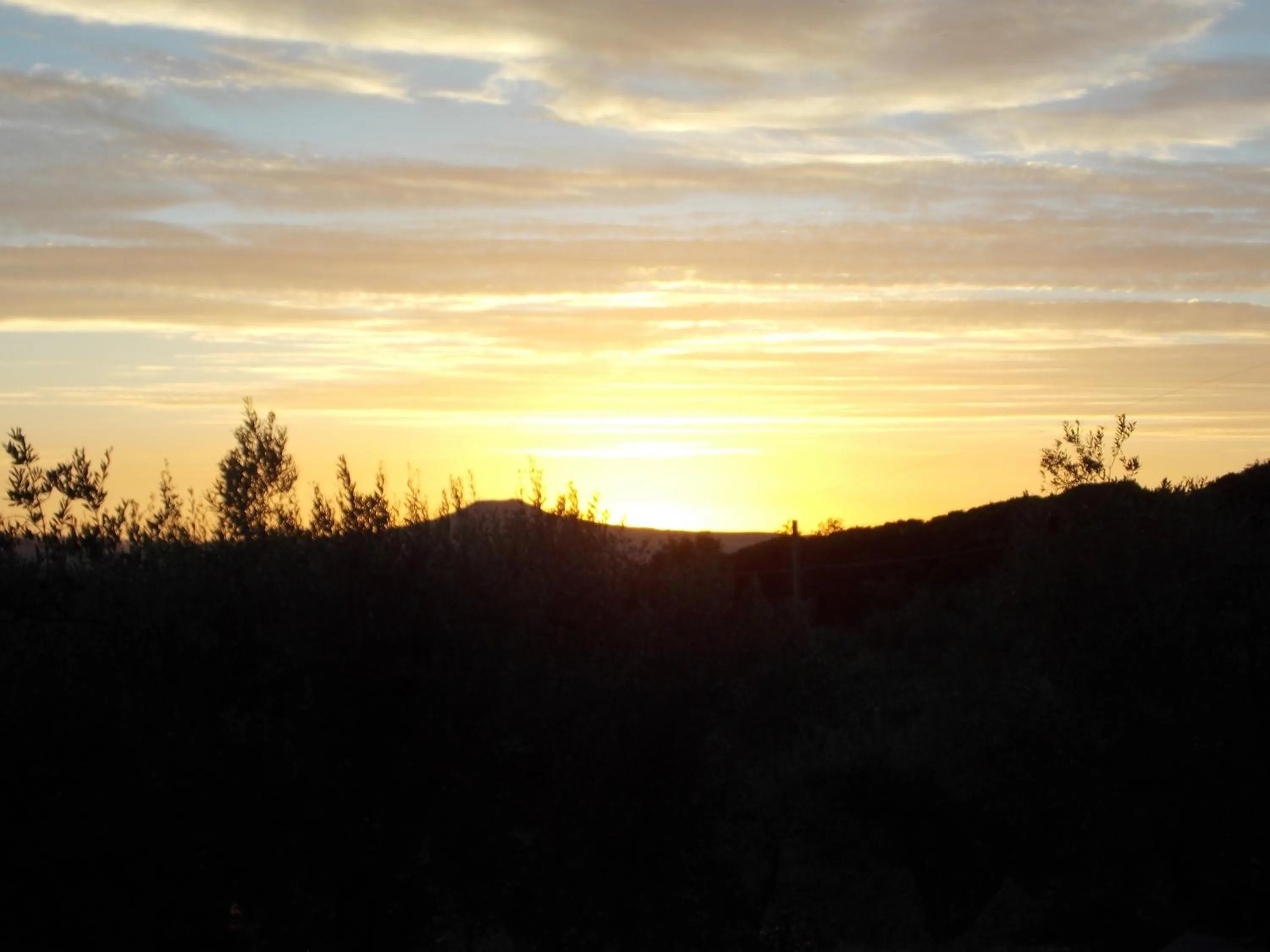 Garden view in B&B PIBITZOI