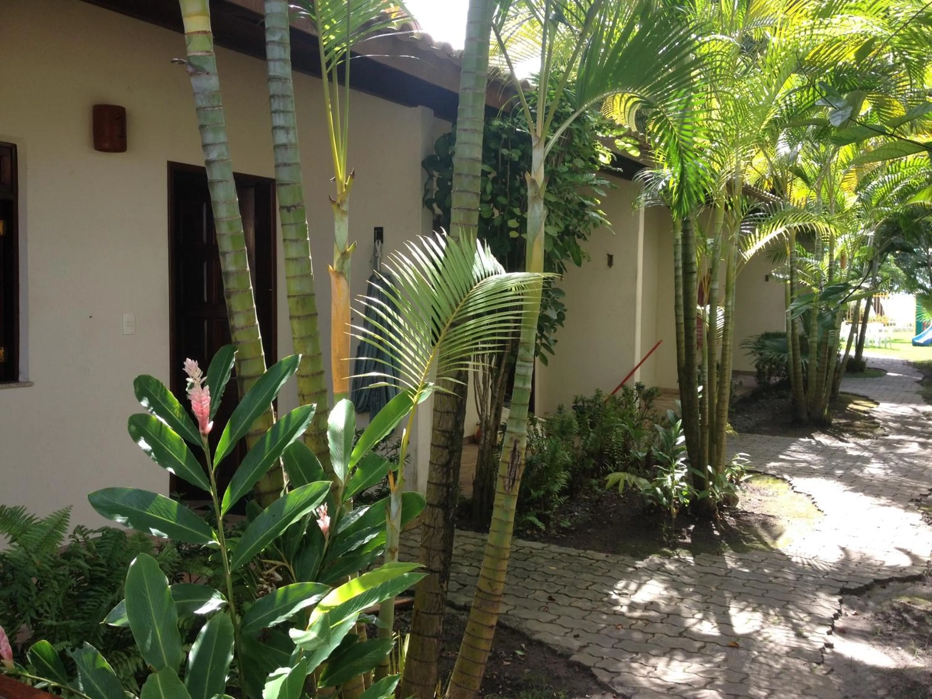 Garden in Pousada Tropicalia