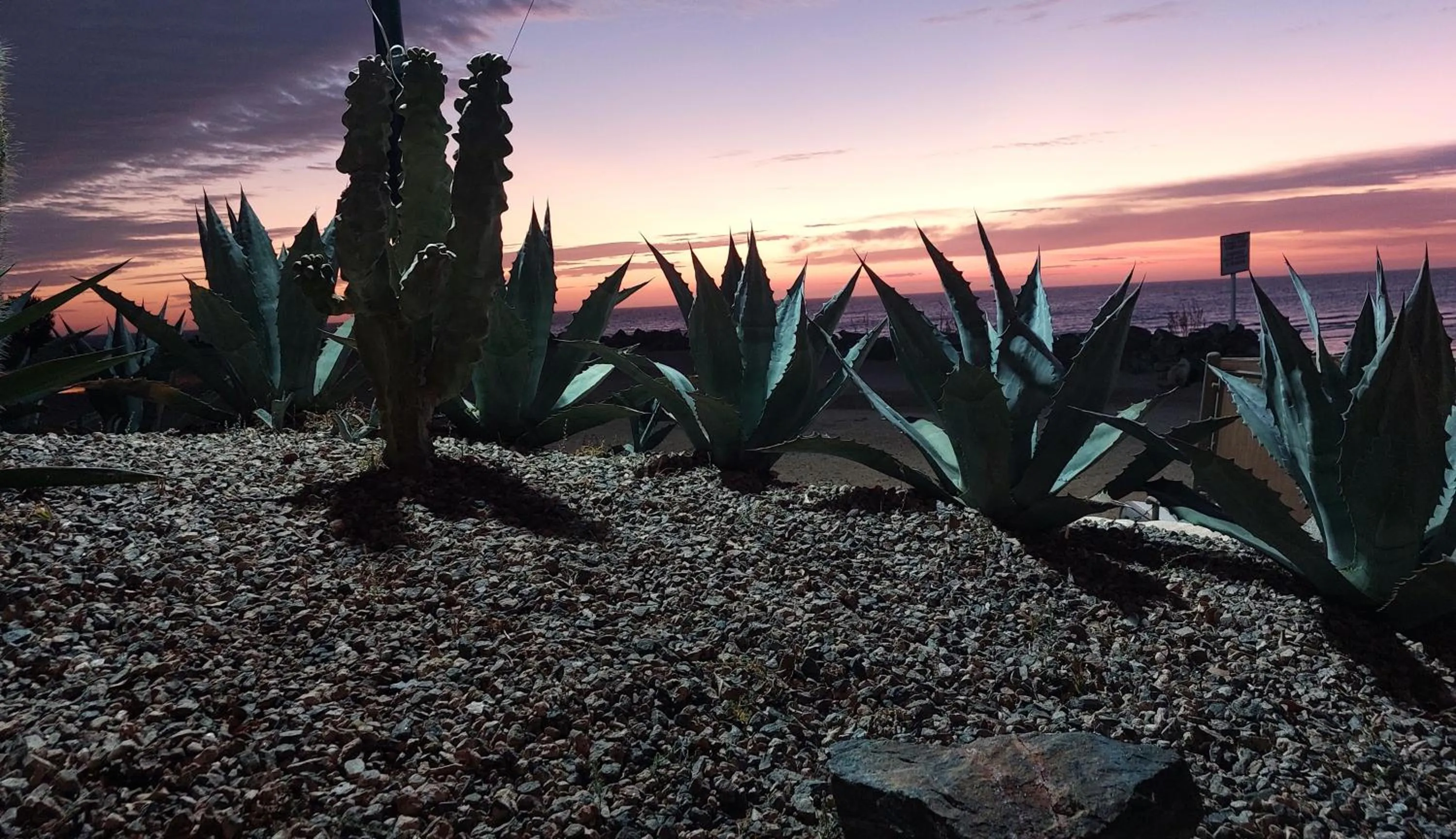 Garden in Peñasco del Sol Hotel