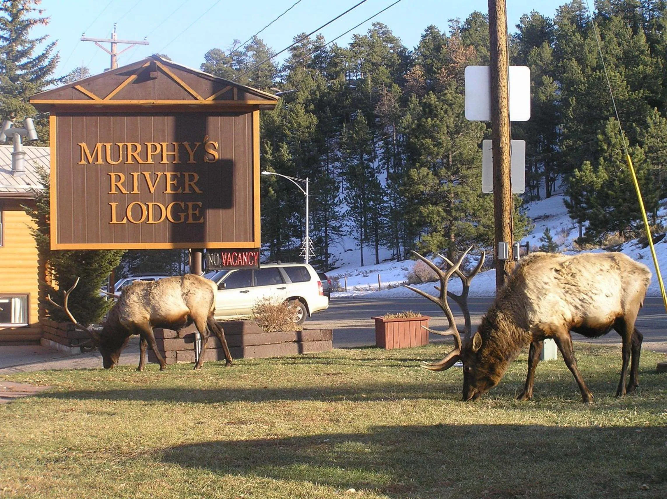 Facade/entrance in Murphy's River Lodge