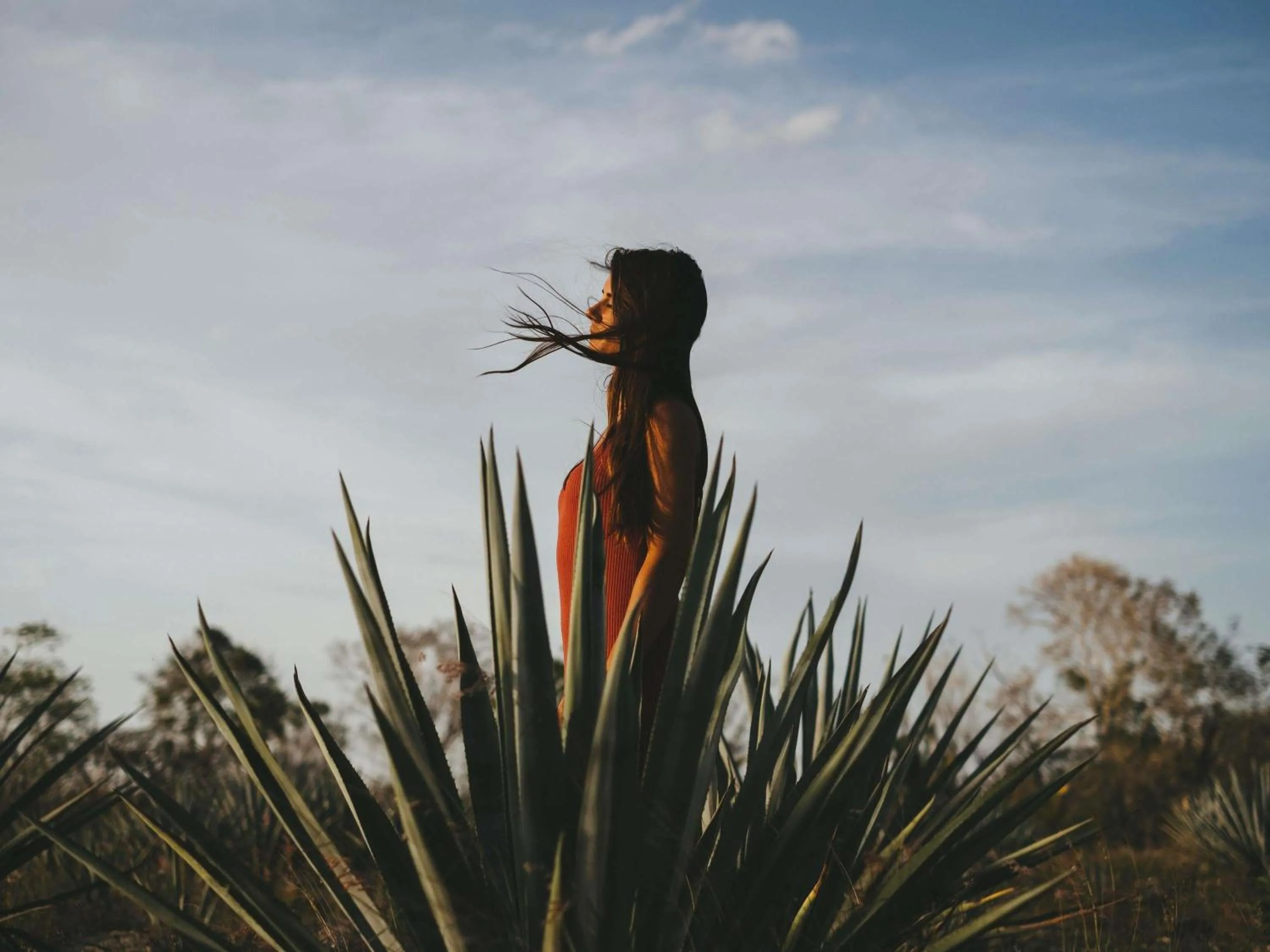 Other in Fairmont St Andrews, Scotland