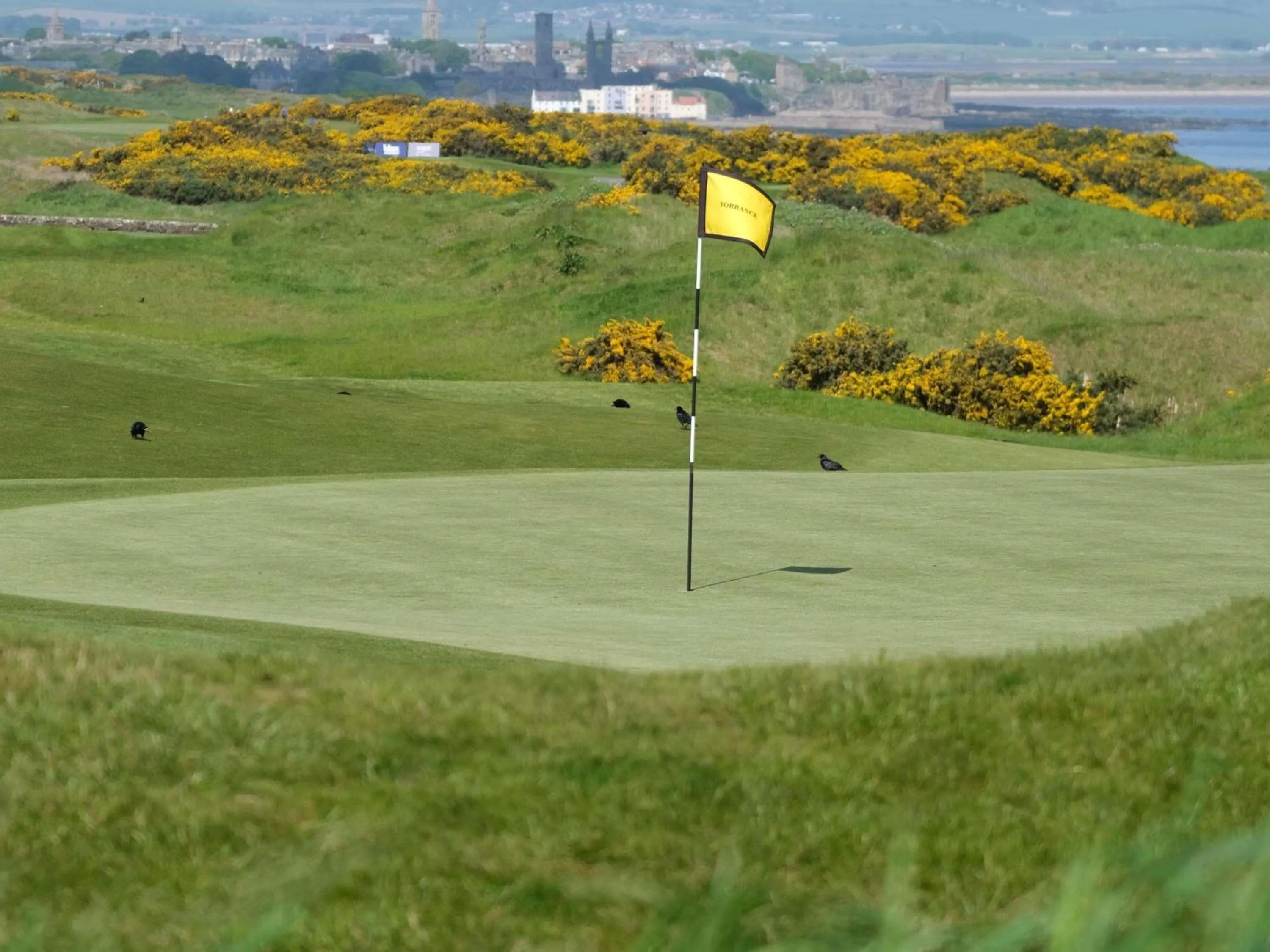 Golfcourse in Fairmont St Andrews, Scotland