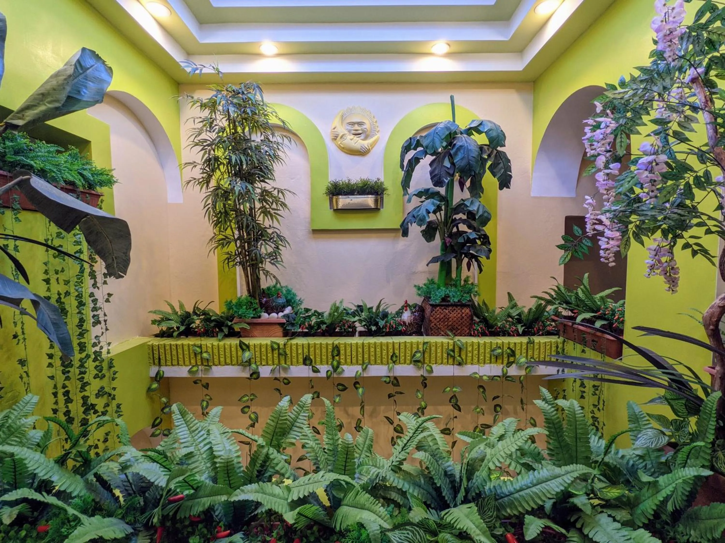 Garden in Hotel San Jorge