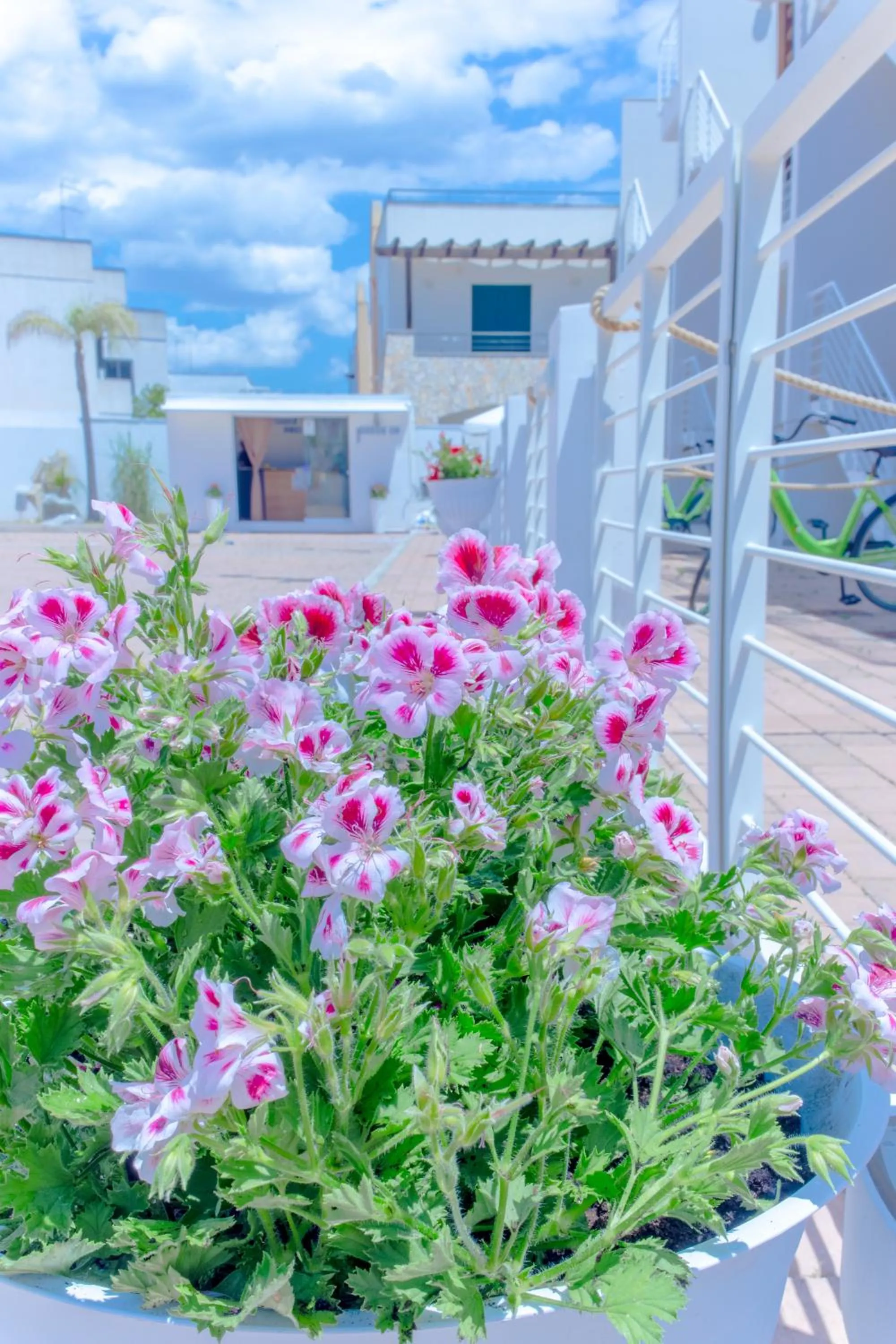 Property building in Residence Costa Bianca