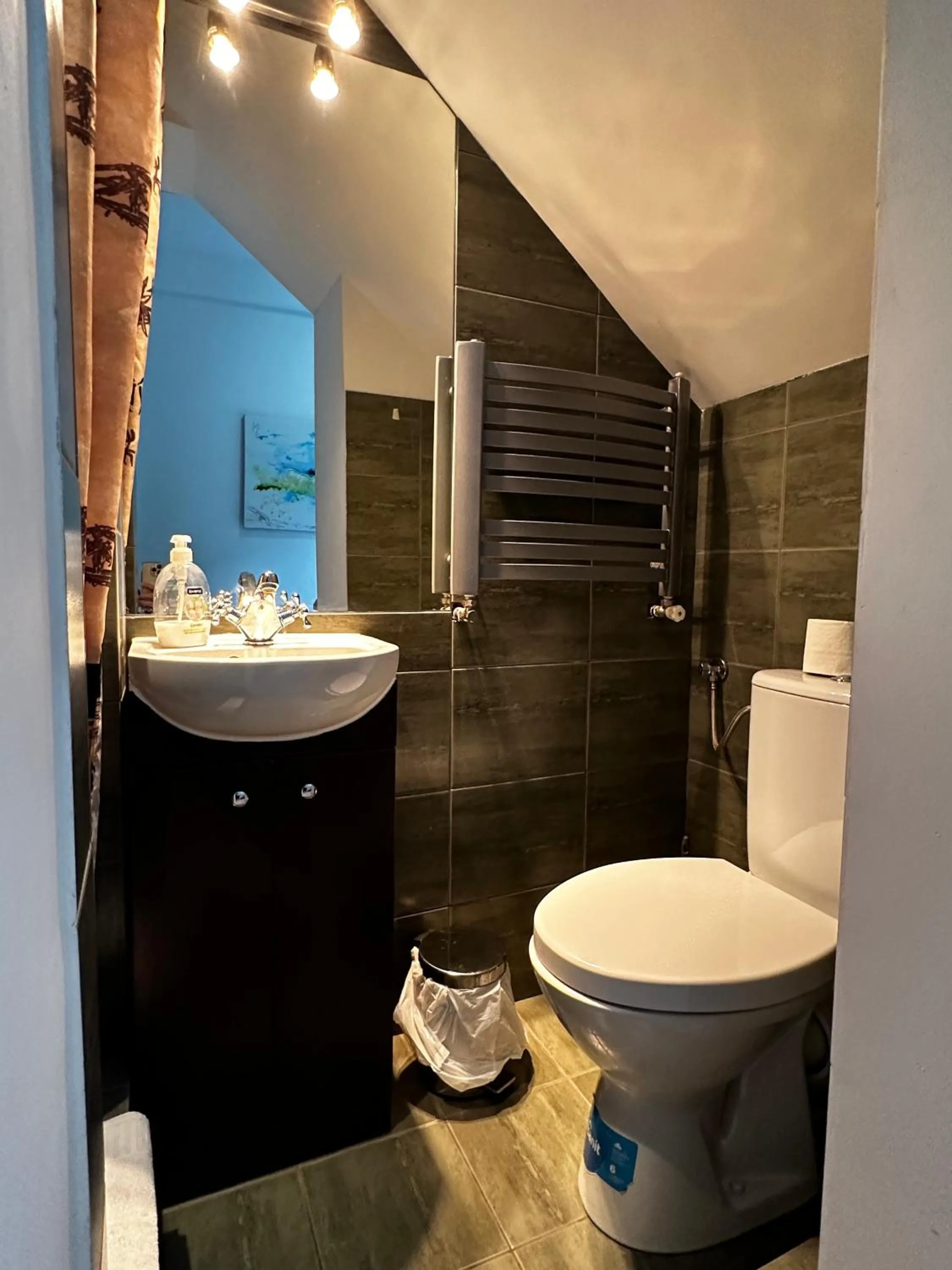 Shower in Pensjonat Jagoda B&B