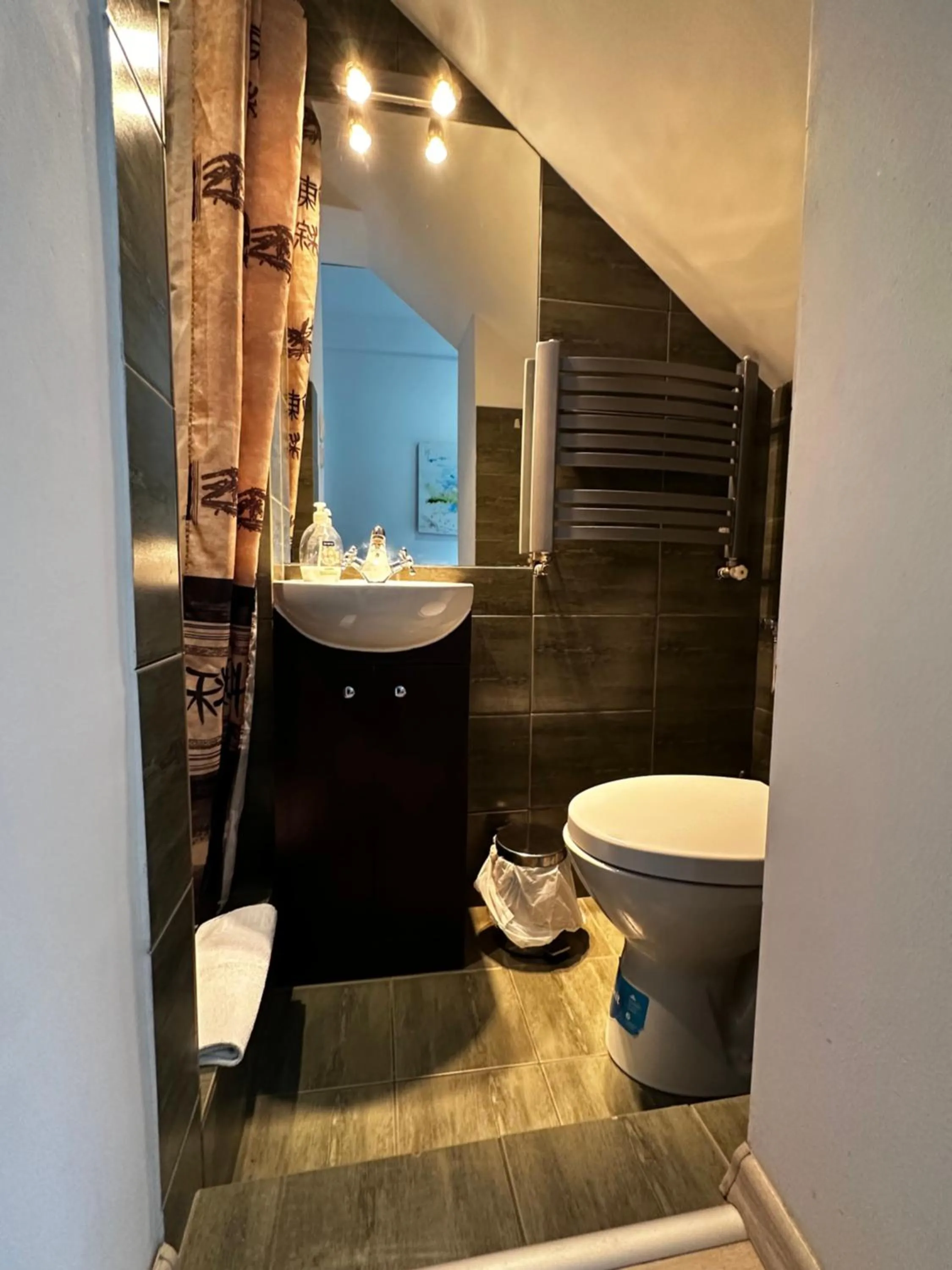 Toilet in Pensjonat Jagoda B&B