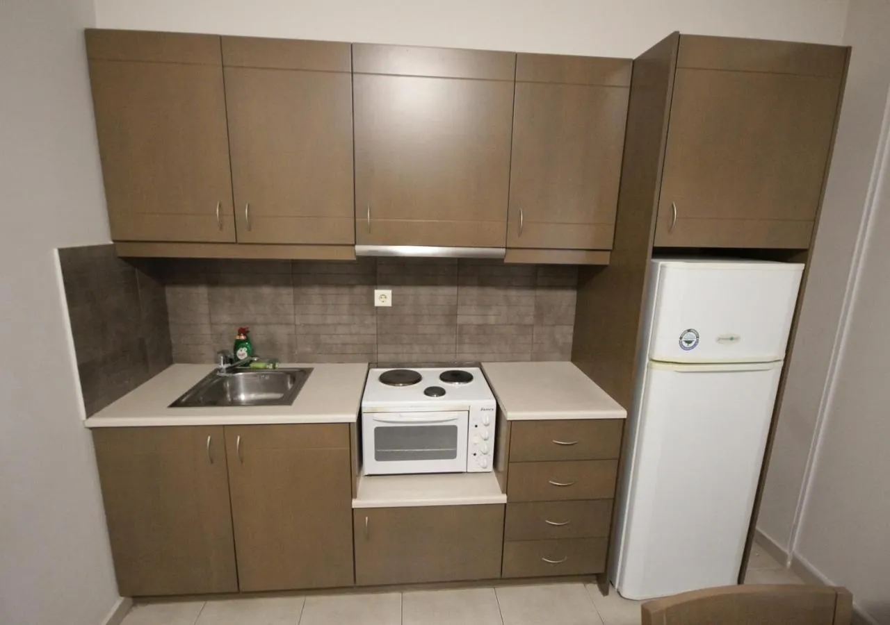 Kitchen or kitchenette in Philoxenia Hotel