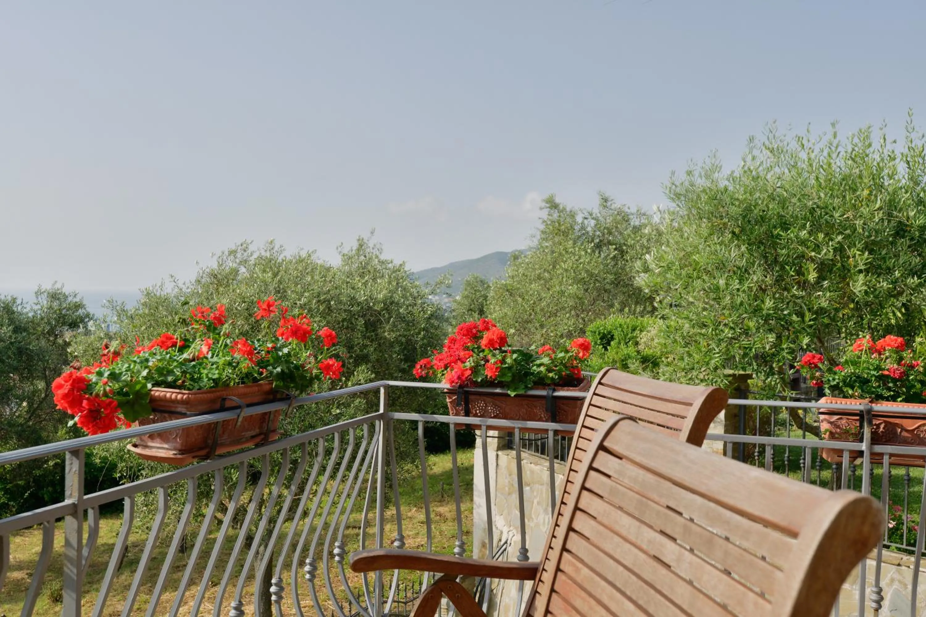 Balcony/Terrace in Villa Elaia