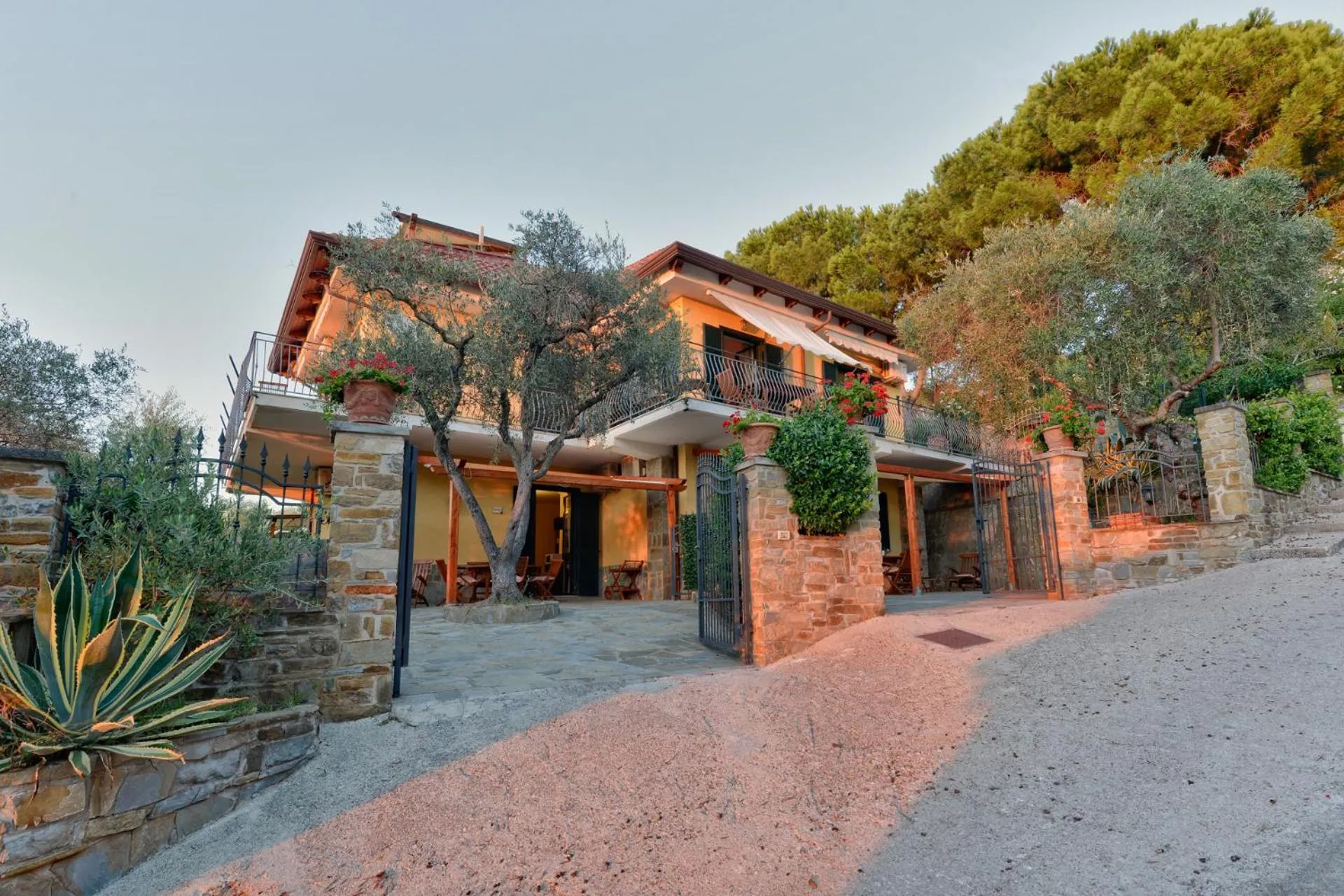 Garden in Villa Elaia