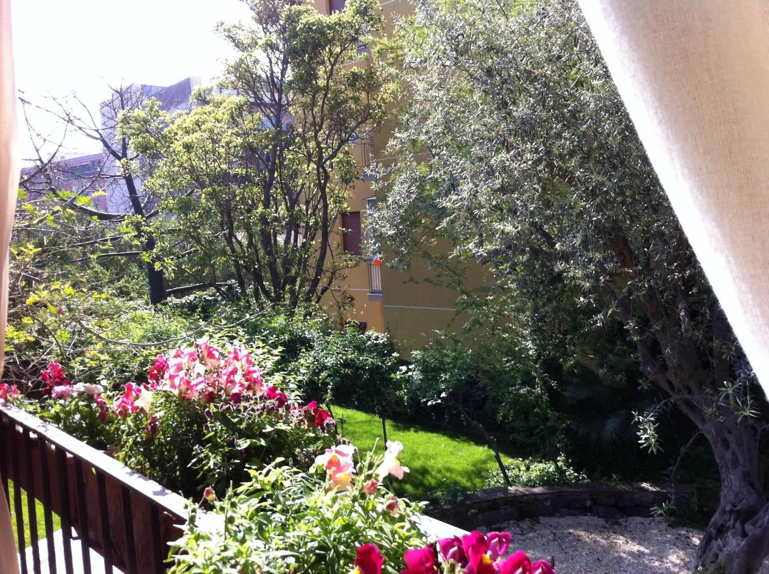 Day in Inn The Garden